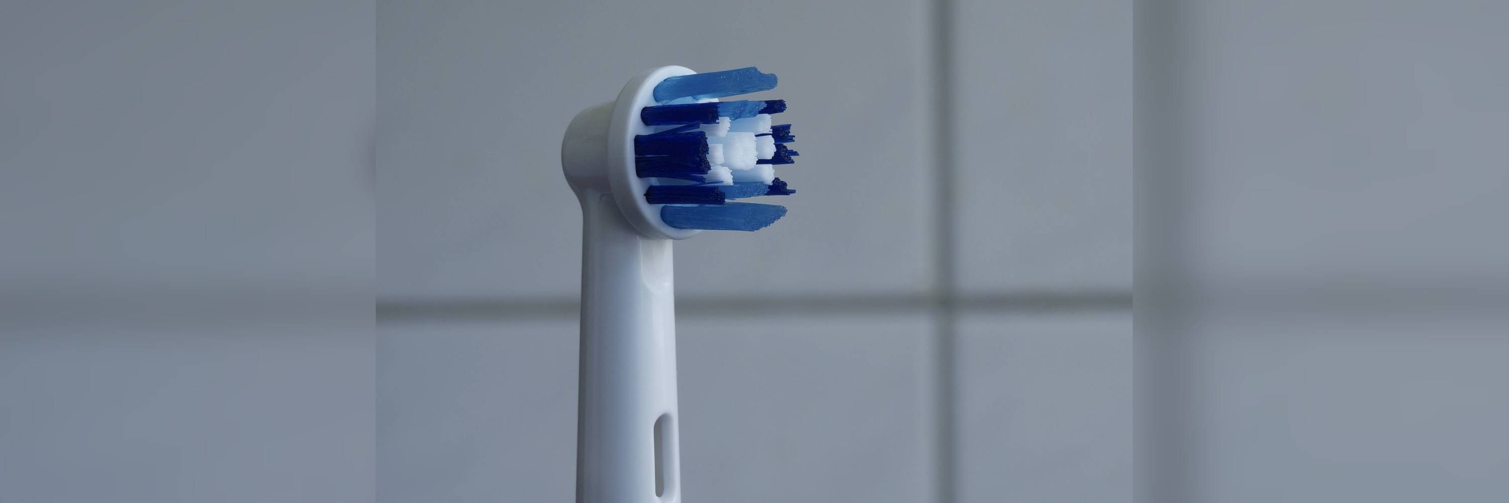 Image - Schweizer Professor filmte Studentinnen mit Zahnbürsten-Kamera