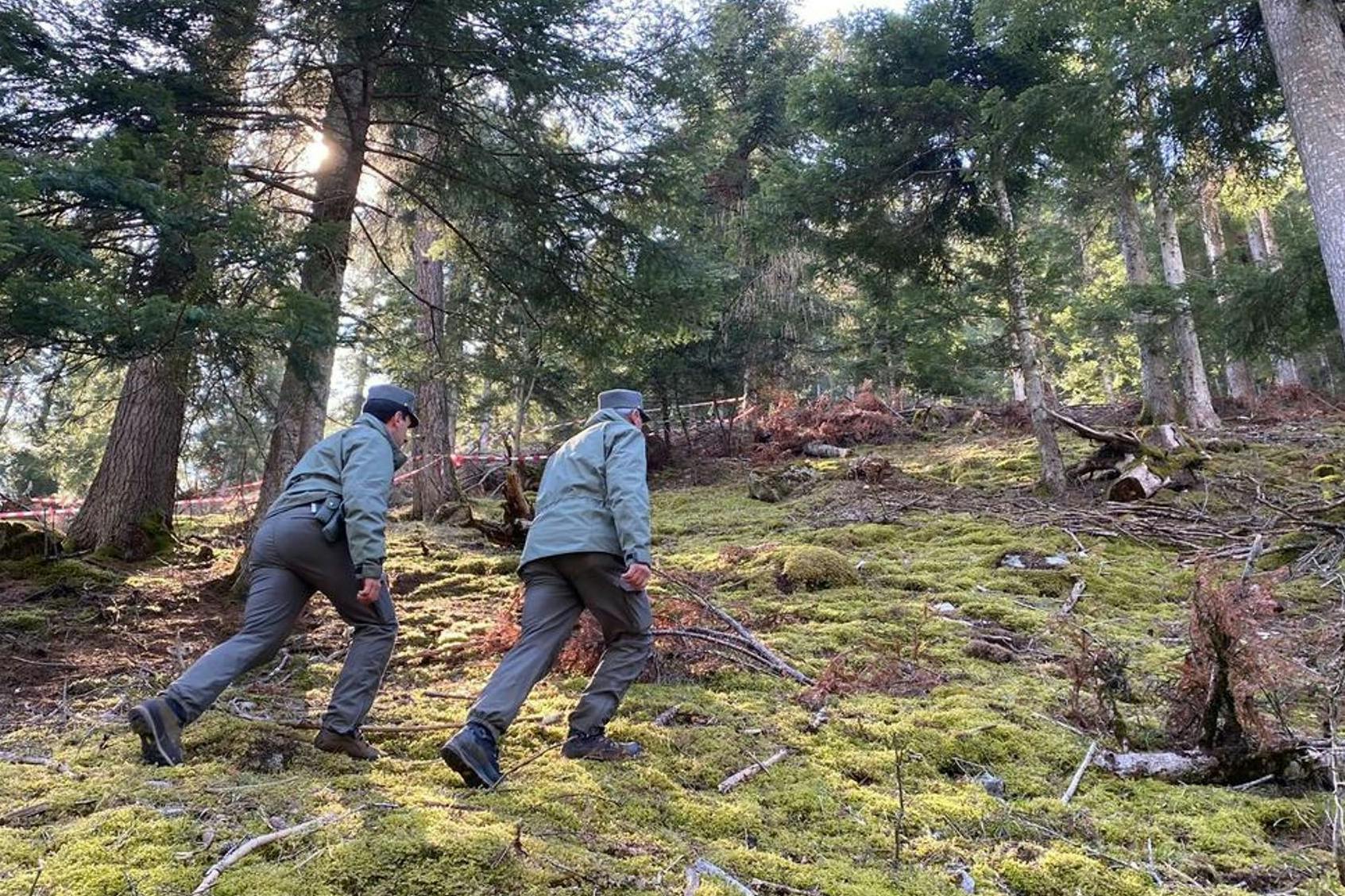 Polizeibeamte suche in der Nähe des Leichenfundorts nach Spuren. 