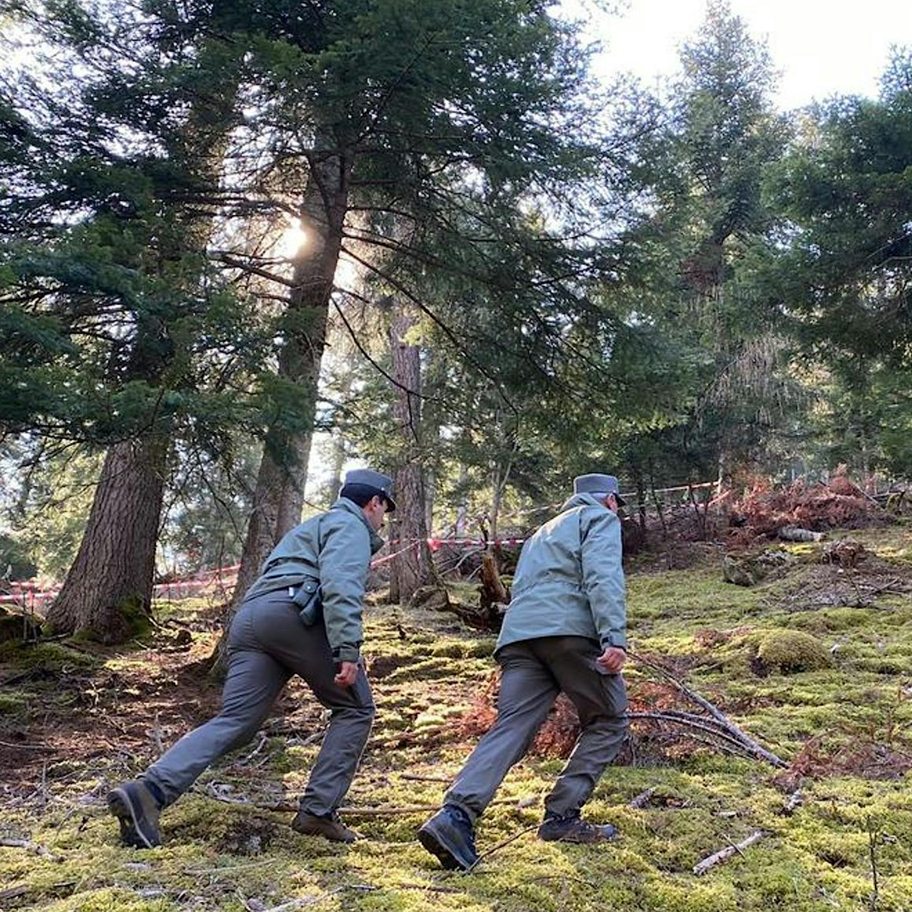 Bär tötet Jogger in Norditalien