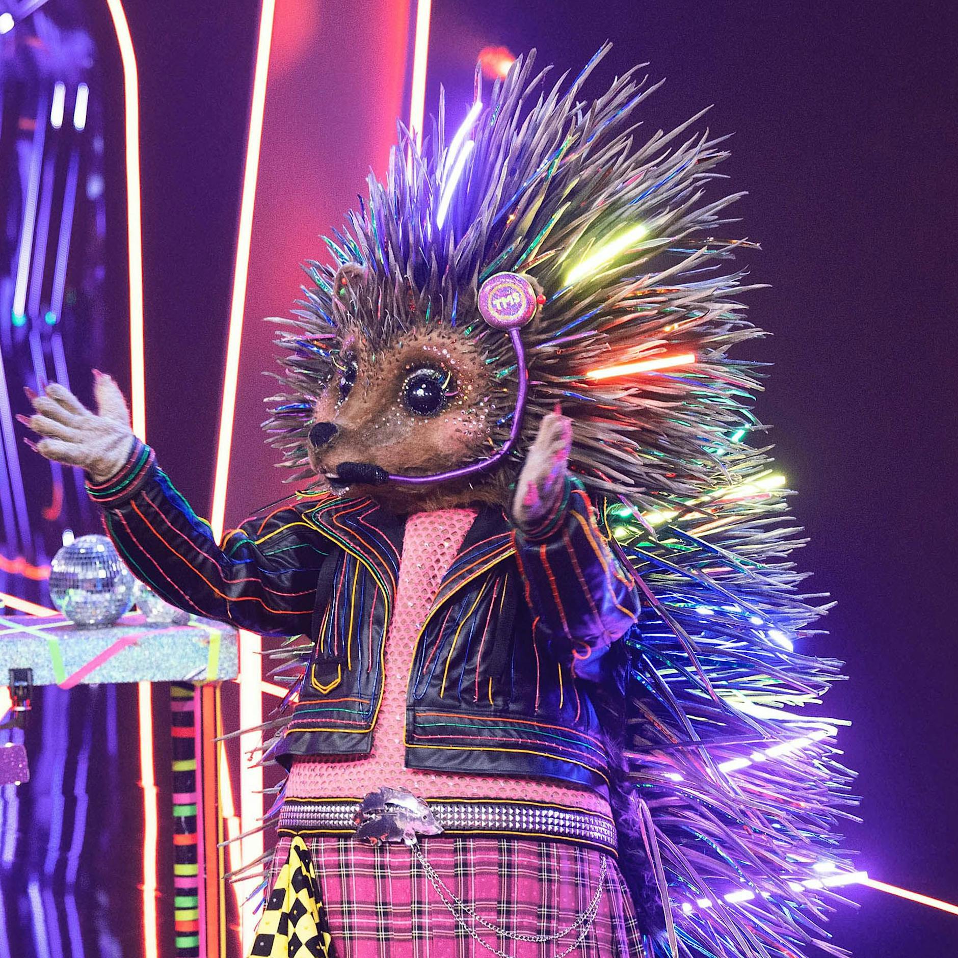 Krasse Fakten zu „Masked Singer“: Das sind die Geheimnisse der Kostüme