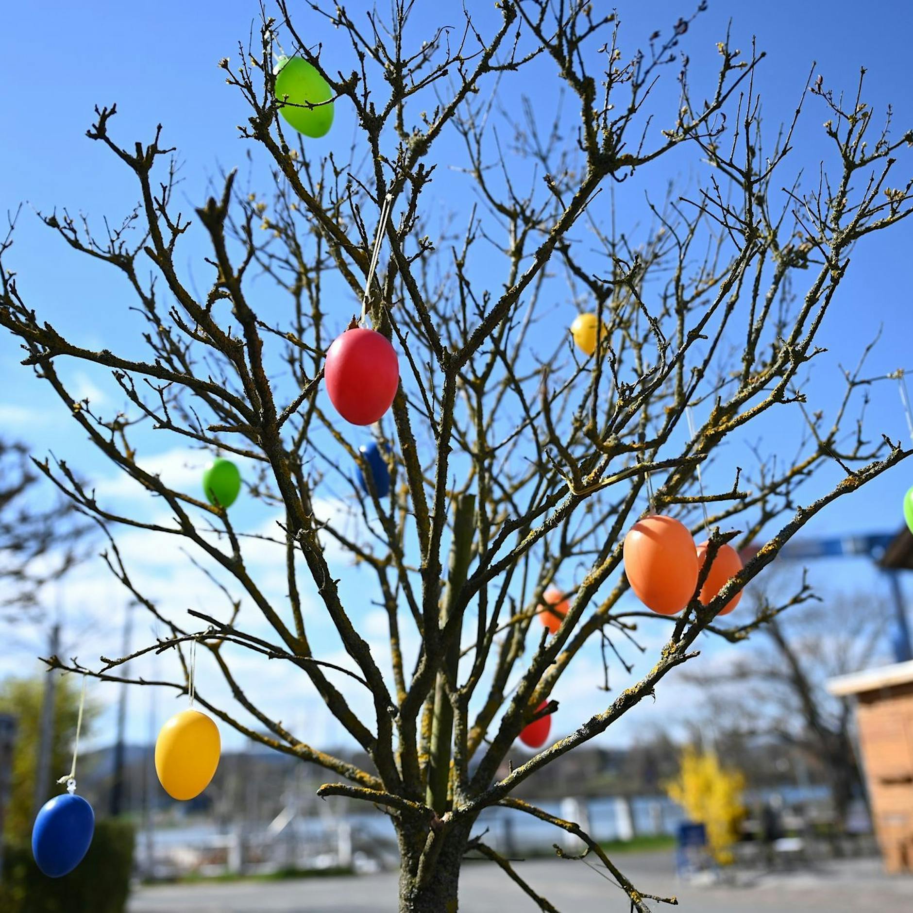Oster-Wetter: Nach Frost-Schock massiver Temperatursprung!