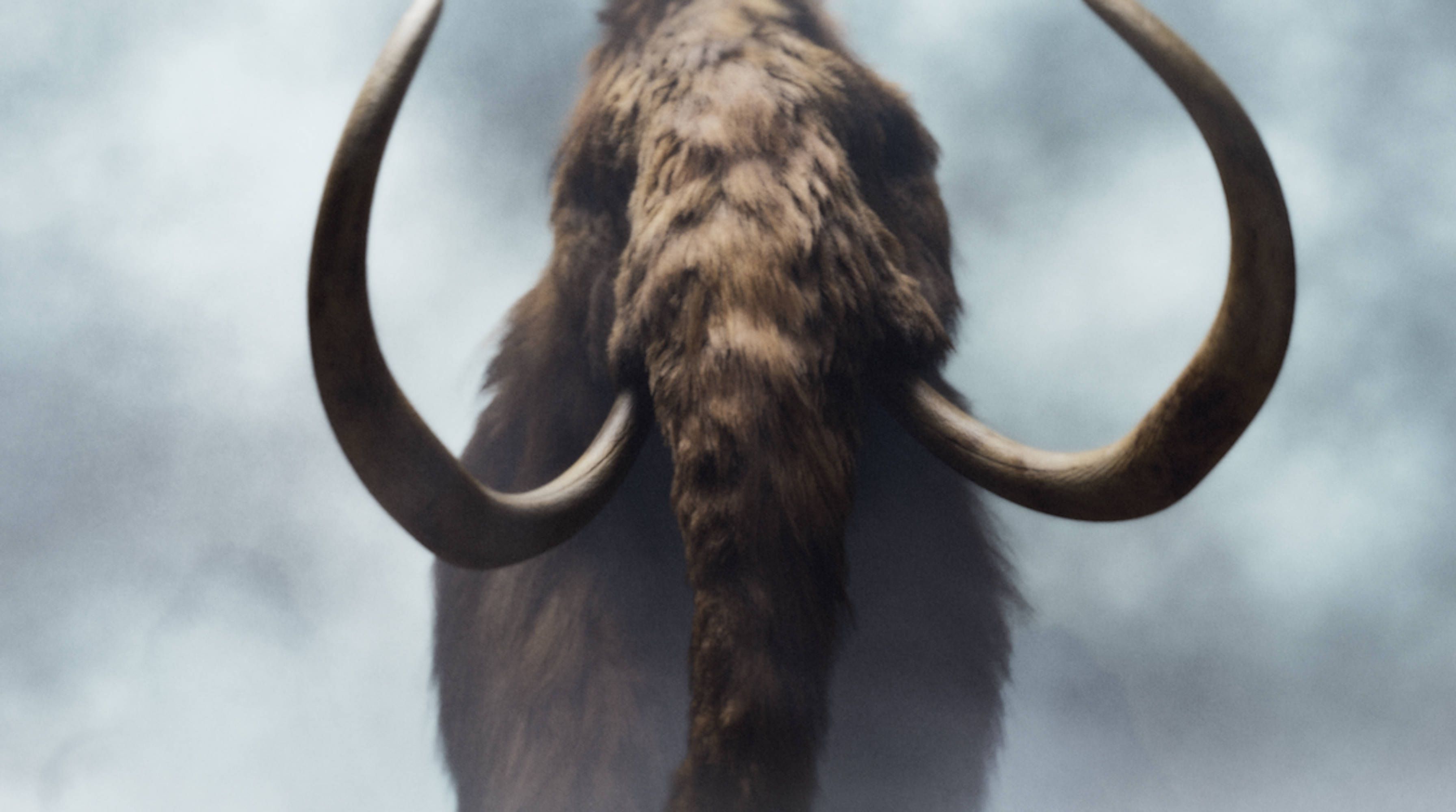 Fleischklops aus der Steinzeit: Forscher produzieren Mammut-Hack