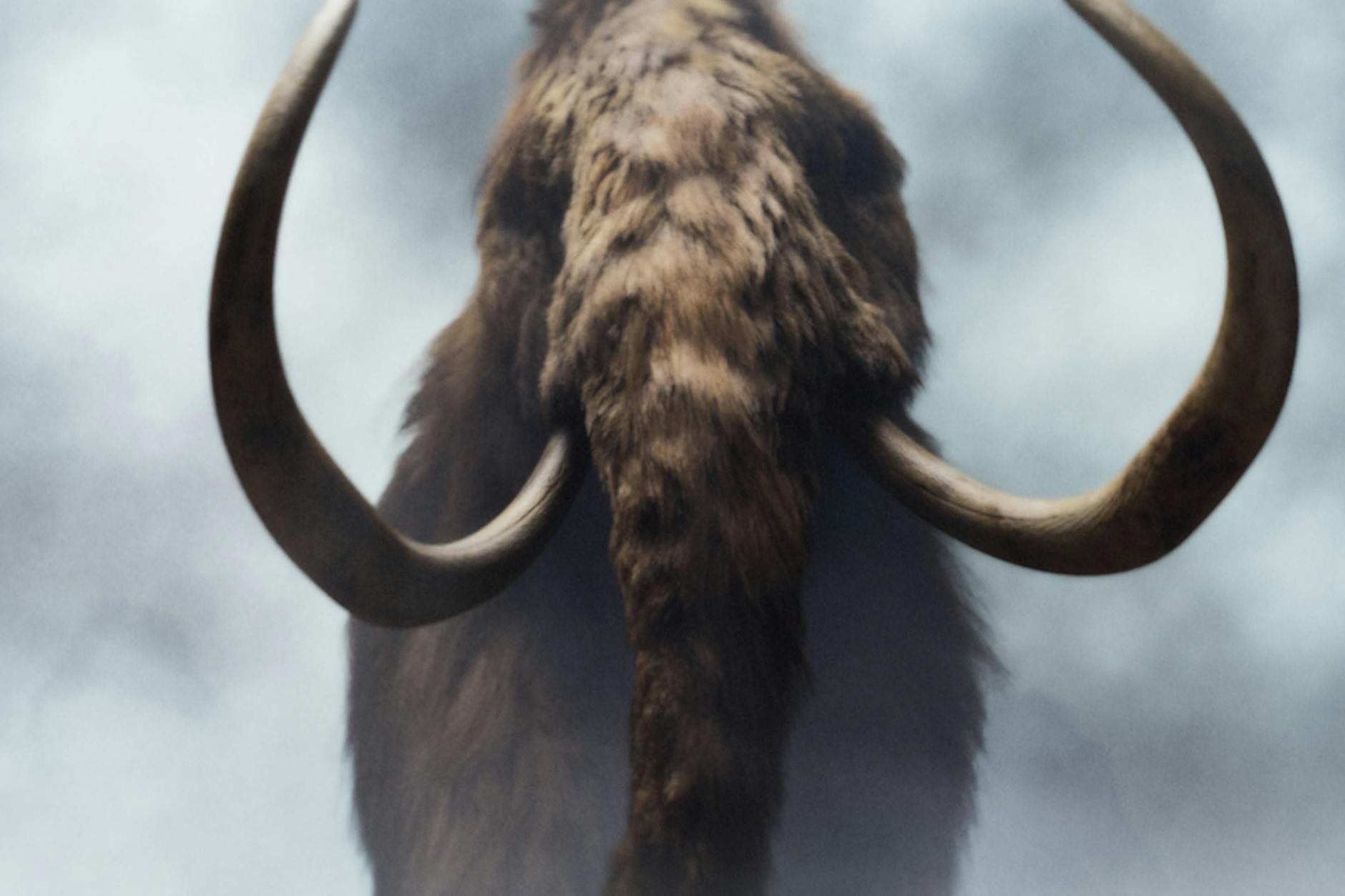 Ein Mammut