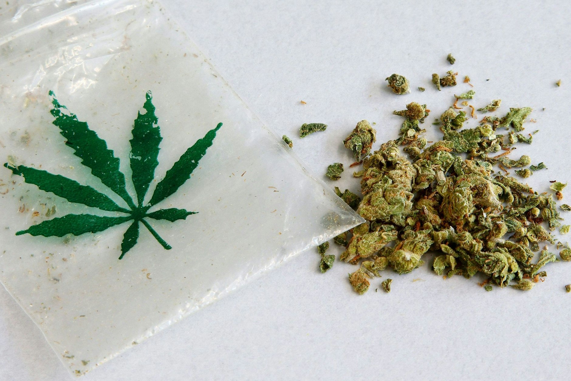 Noch illegal: Cannabis im Kriminaltechnischen Institut des Landeskriminalamtes Berlin.