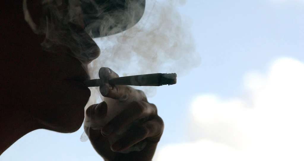 Ausnahme Deutschland? So regeln andere Länder die Gras-Legalisierung