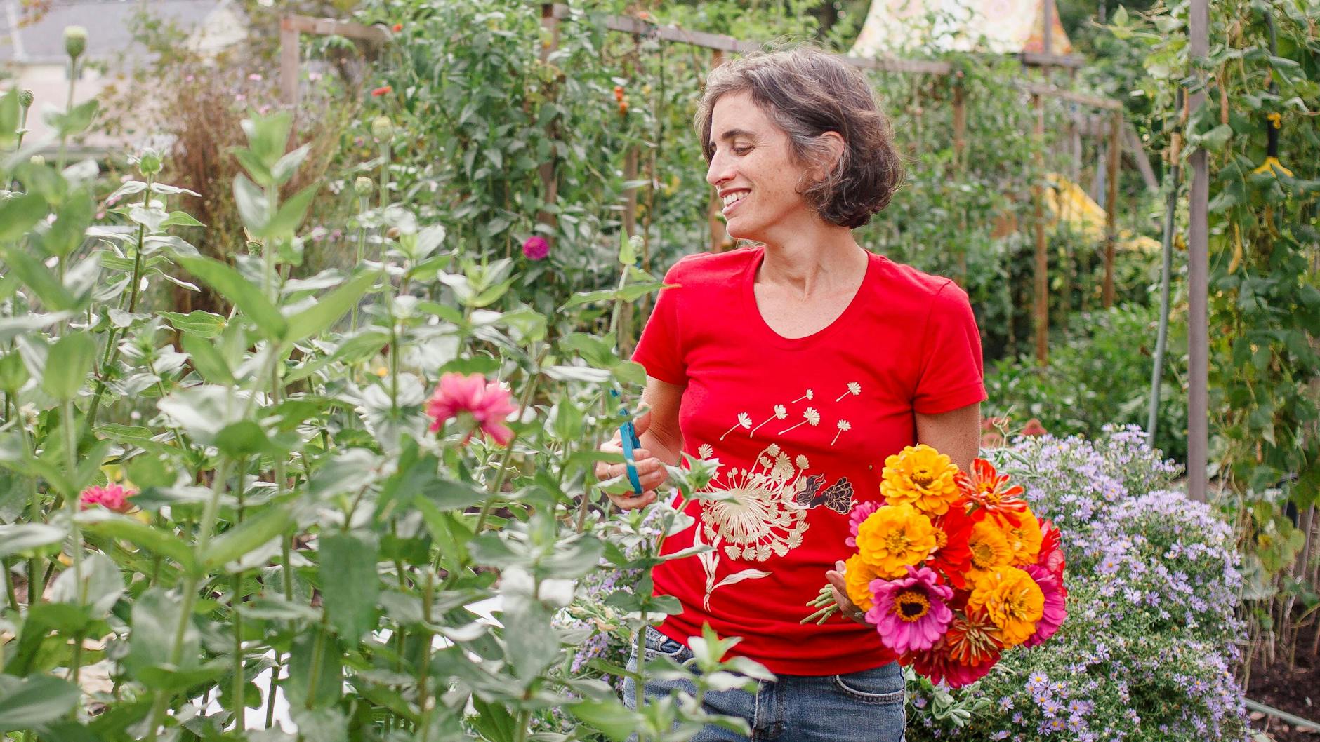 Zinnien sind die perfekten Schnittblumen im Garten, sie ergeben wunderschöne Blumensträuße.