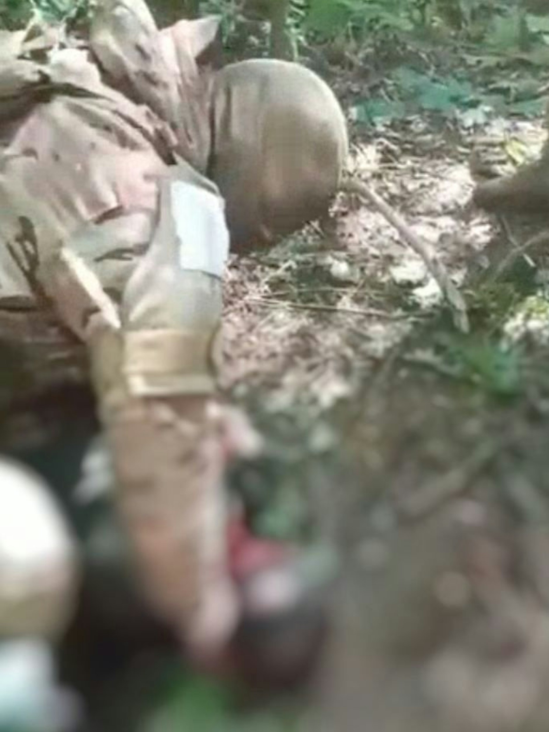 Das Video wurde zuerst auf russischen Telegram-Kanälen geteilt. Dort wurde der Mord an einem Ukrainer gefeiert.