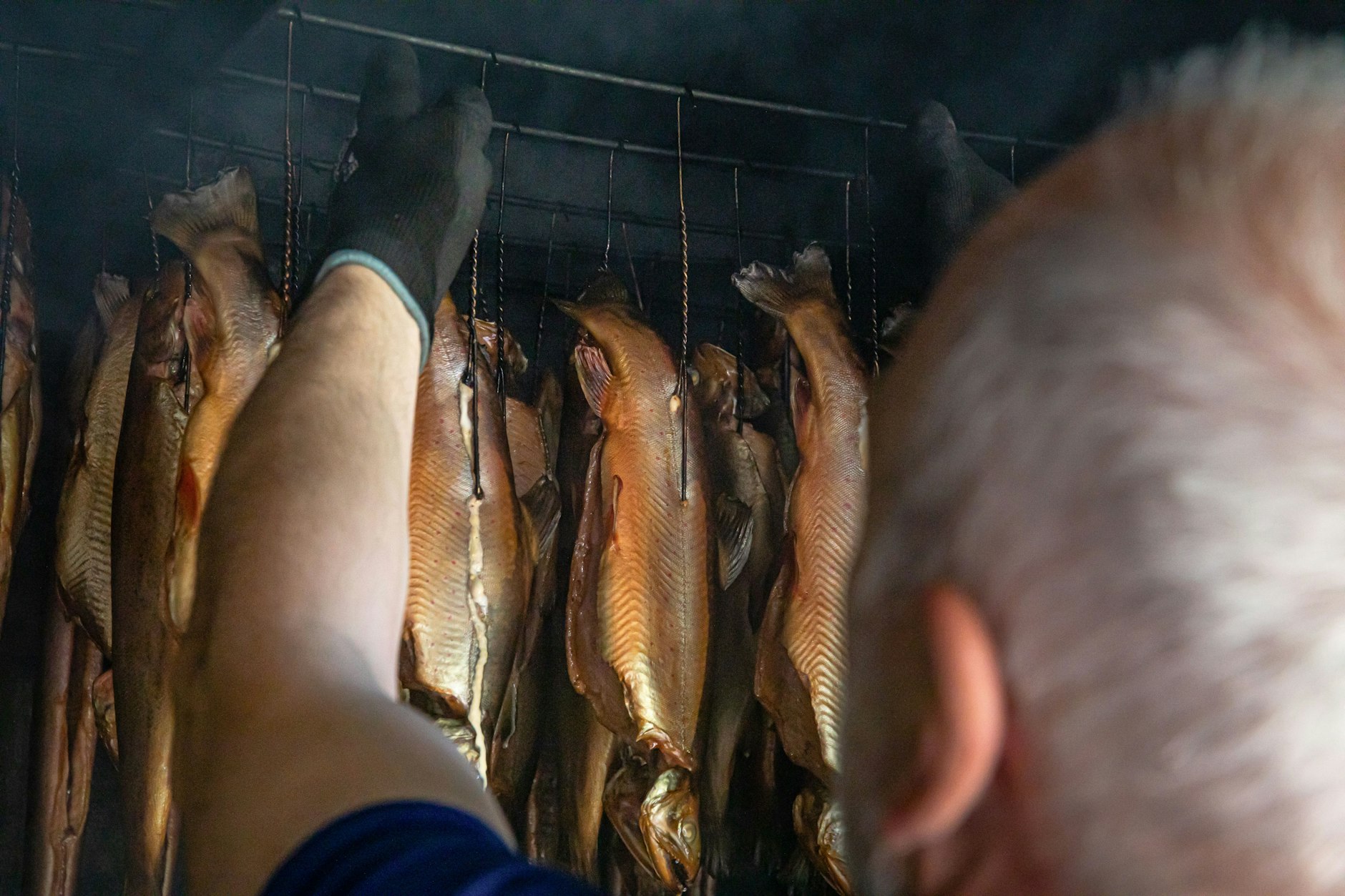 Der Fisch wird geräuchert auf Buchen- oder Erlenspänen.