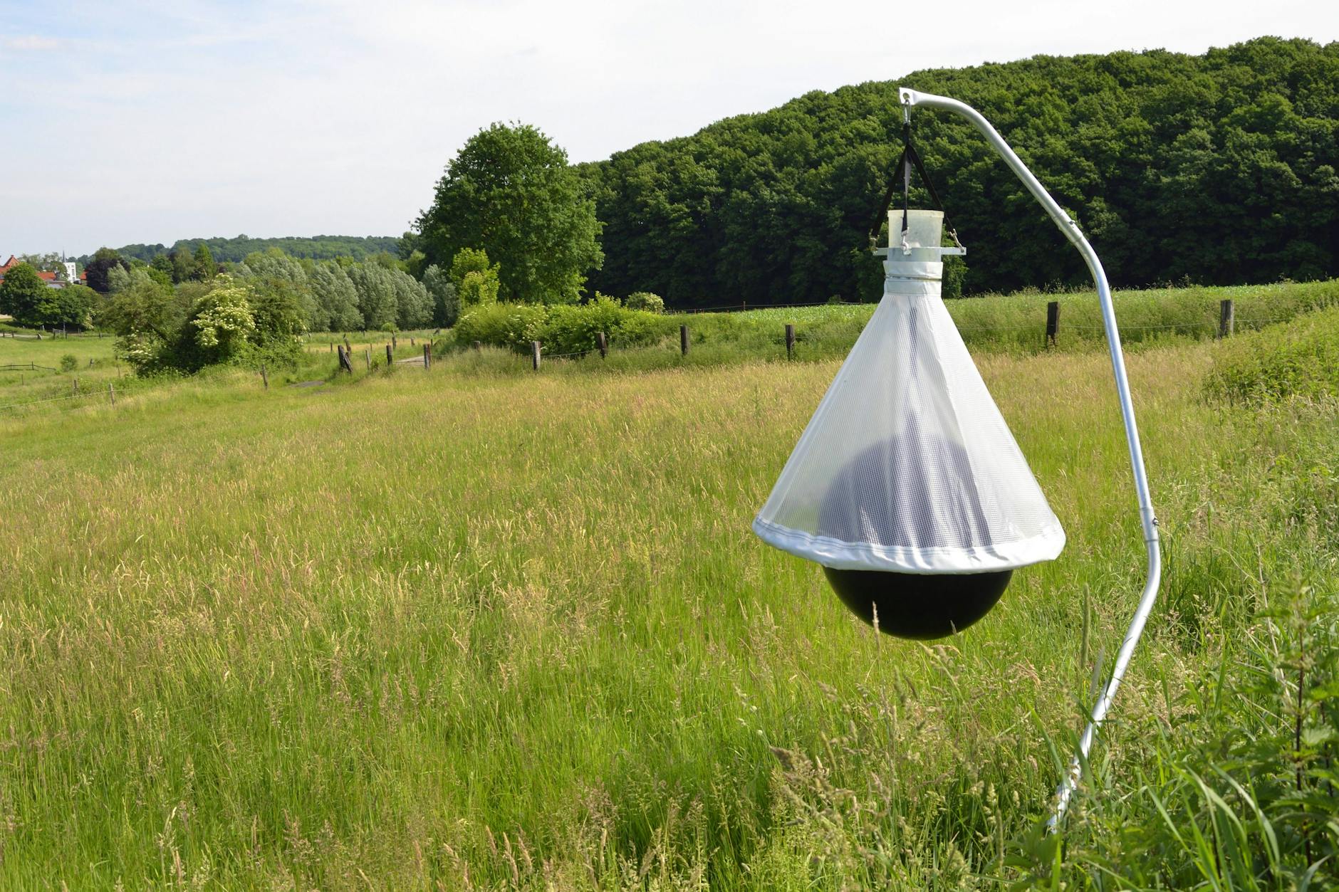 Eine Bremsenfalle auf einer Pferdekoppel