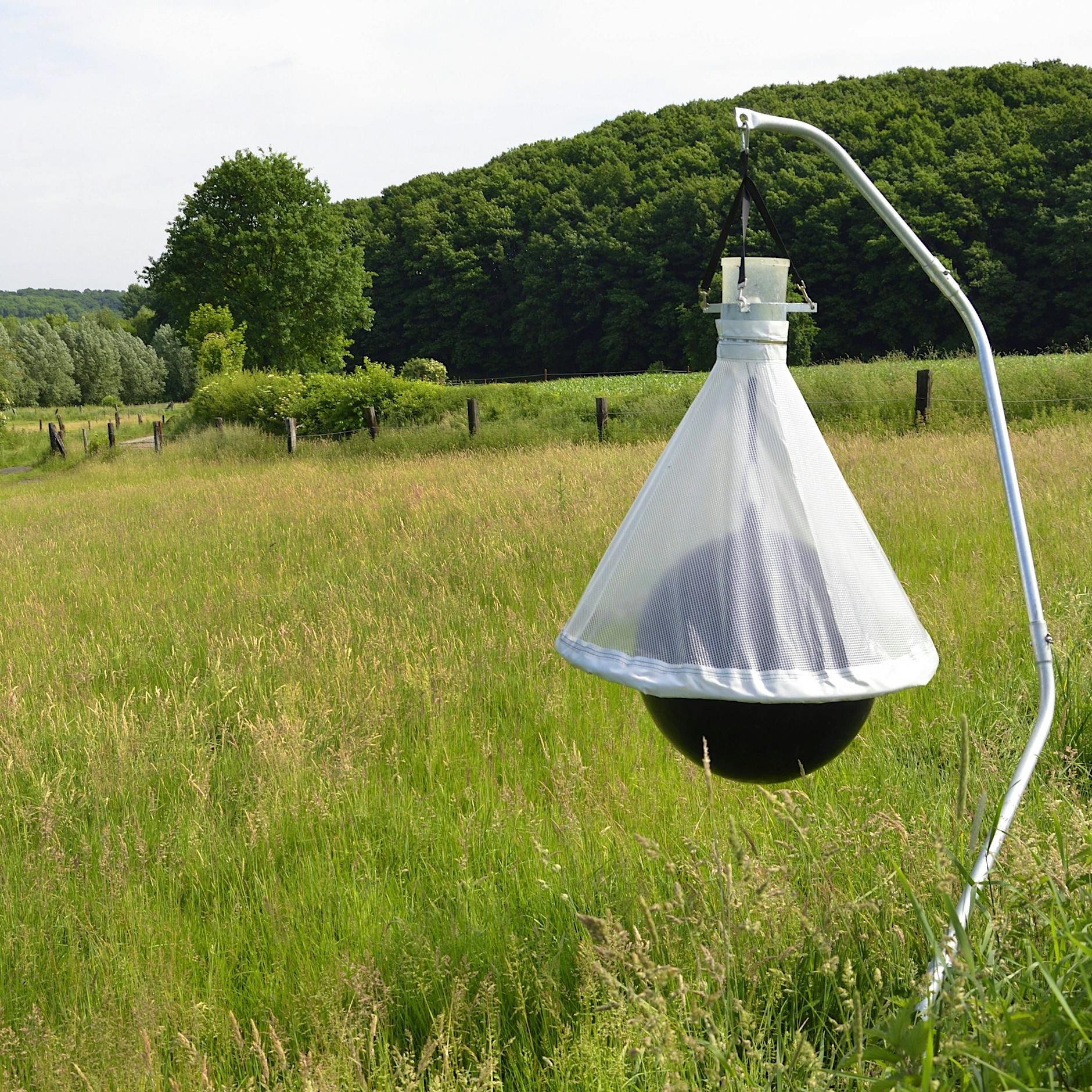 Artenschutz: Ministerium warnt vor illegalen Insektenfallen