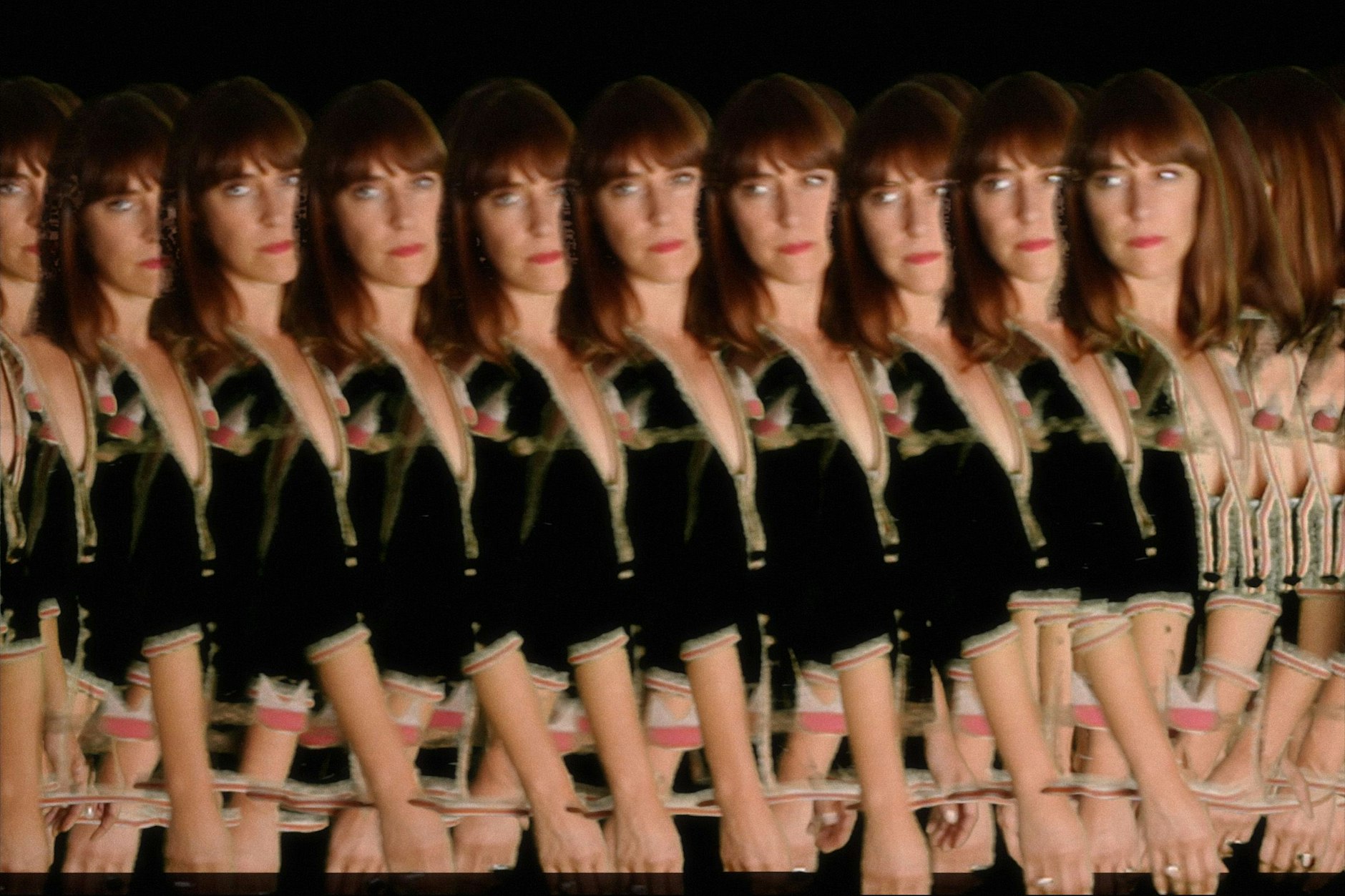 Eine Vielfalt an Feists