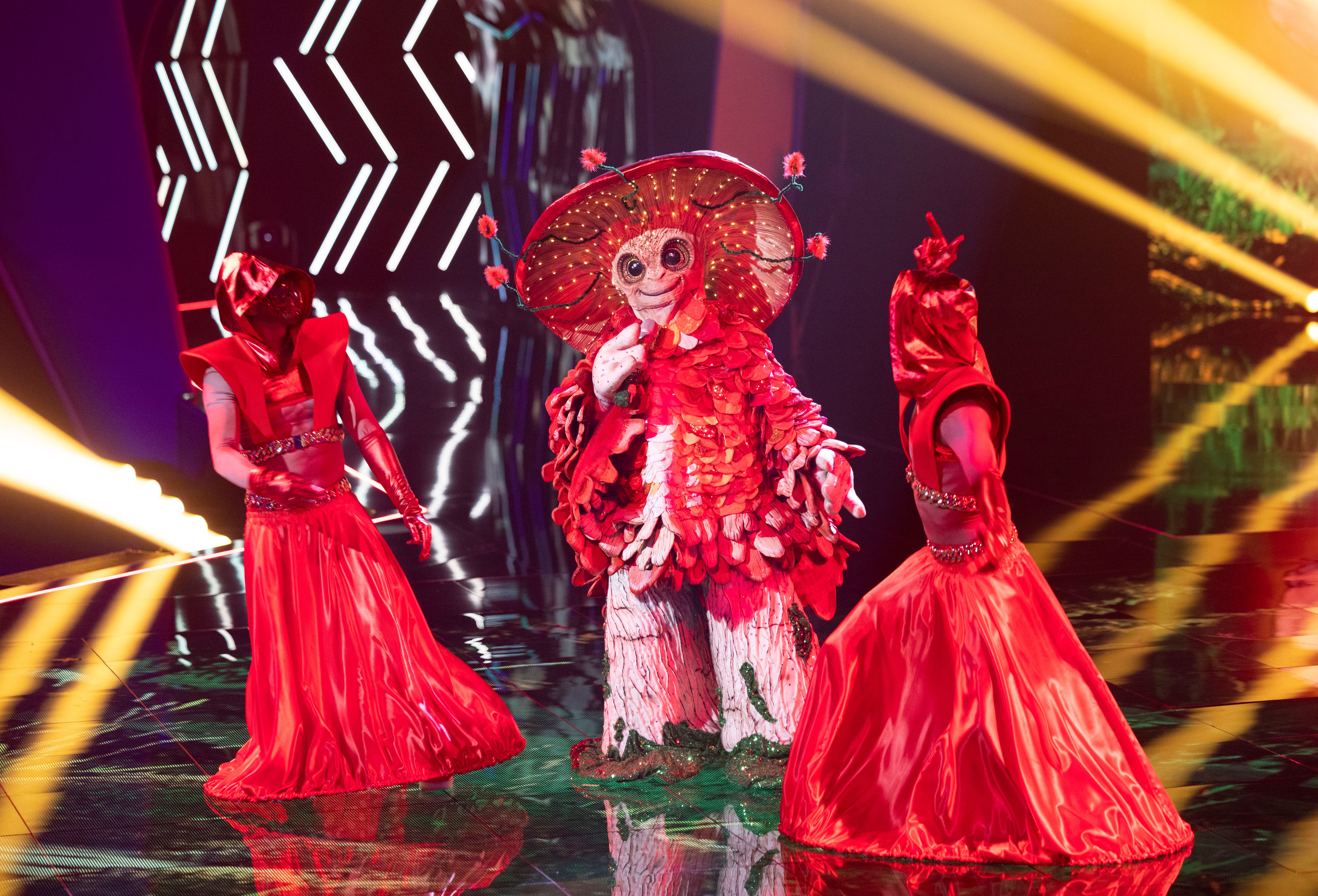Image - Hammer bei „The Masked Singer“: Der Pilz ist raus – und SIE steckte im Kostüm