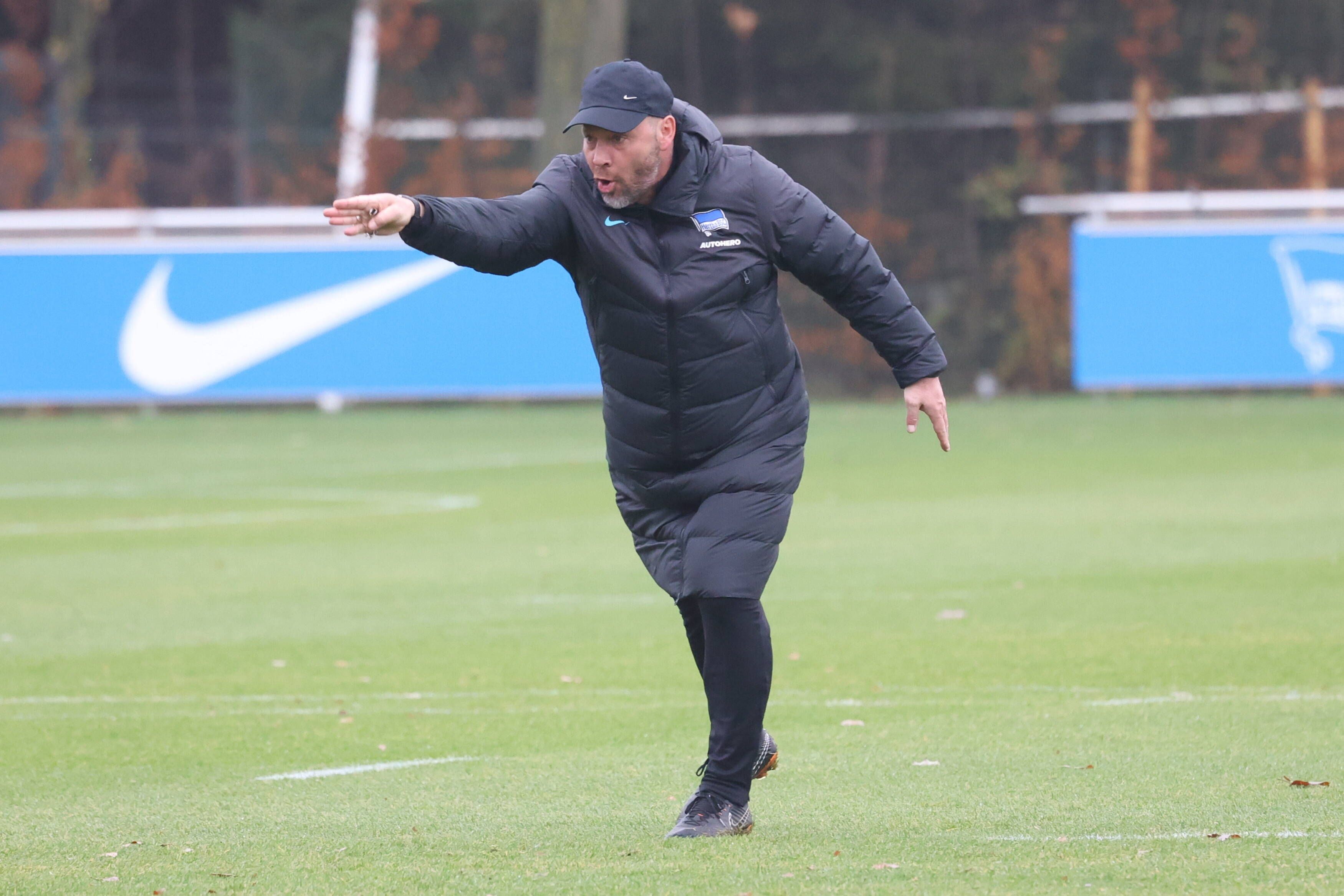 Pal Dardai bei Hertha BSC: Gekommen, um zu bleiben!