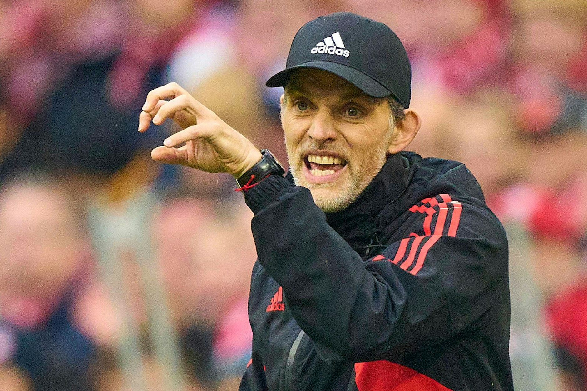 Krallen zeigen: FC-Bayern-Trainer Thomas Tuchel gestikuliert am Rand des Spiels der Münchner gegen Hoffenheim.&nbsp;