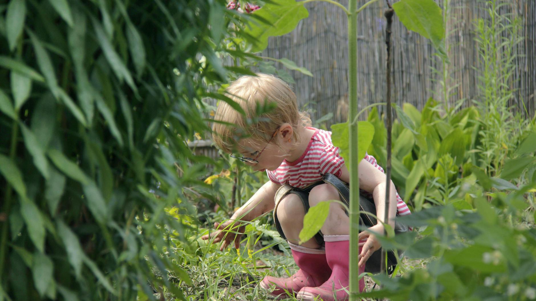 Gerade Familien mit Kindern suchen in Berlin verzweifelt Kleingärten.