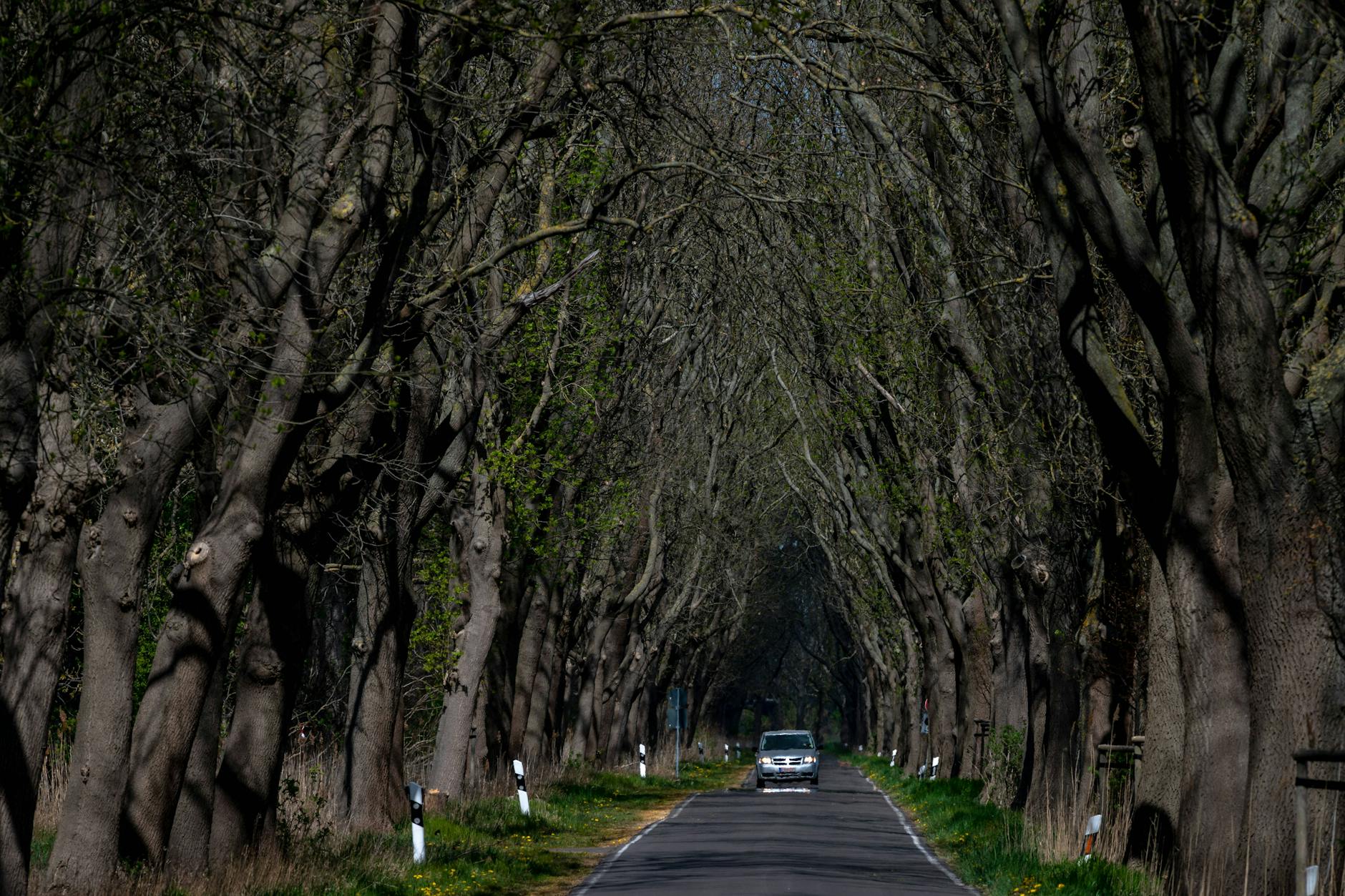 Ostprignitz-Ruppin: Im Norden Brandenburgs befindet sich der größte deutsche Ableger der „Anastasia“-Bewegung.