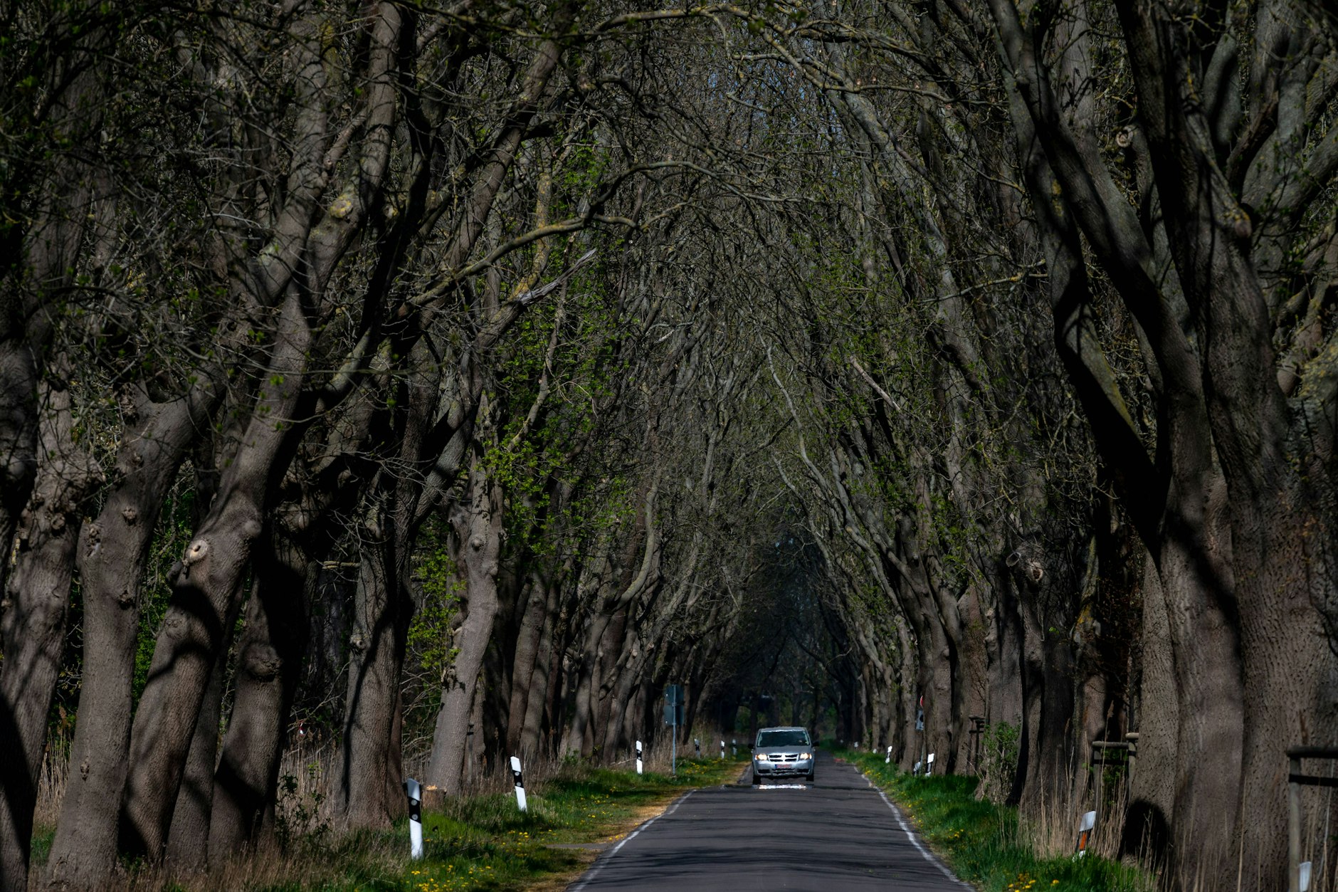 Ostprignitz-Ruppin: Im Norden Brandenburgs befindet sich der größte deutsche Ableger der „Anastasia“-Bewegung.