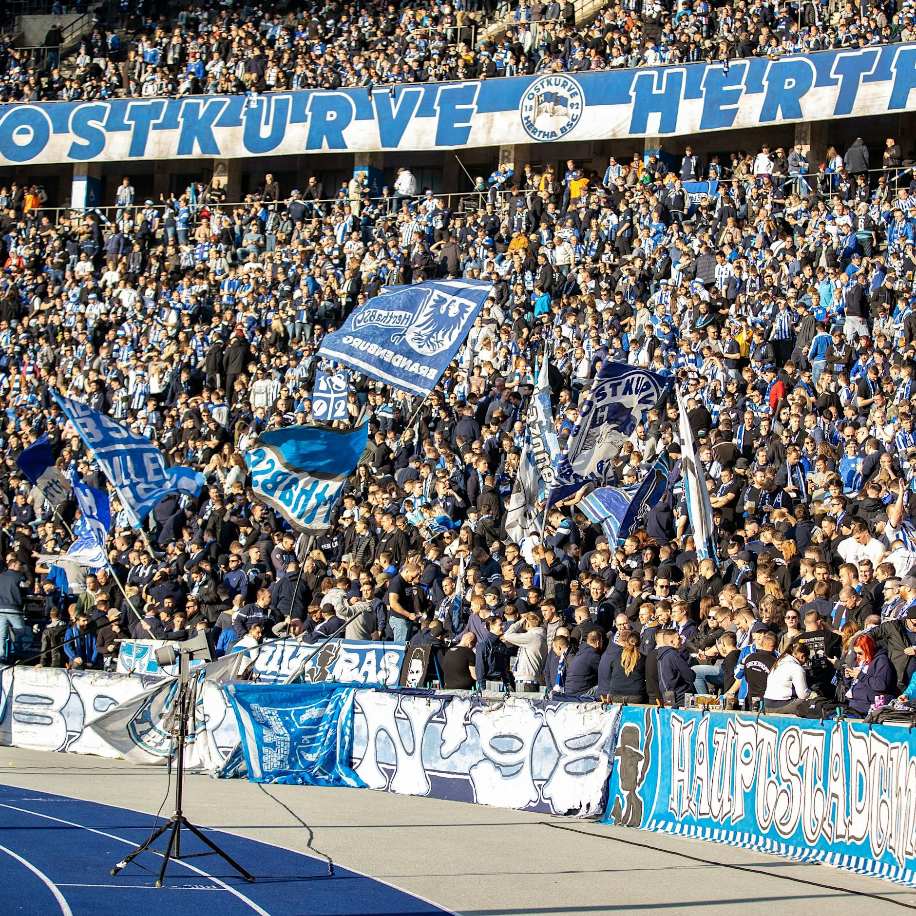 Palomania! Alle wollen Dardais Heimkehr gegen Werder Bremen sehen