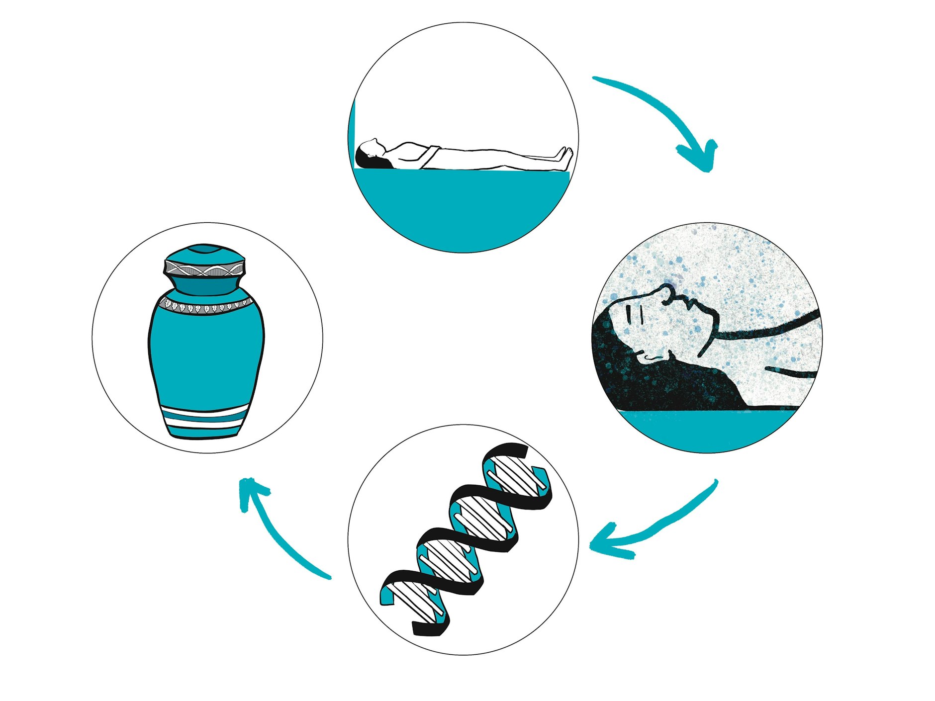 Bei einer Lavation wird der Körper des toten Menschen mittels eine alkalischen Hydrolyse zersetzt.