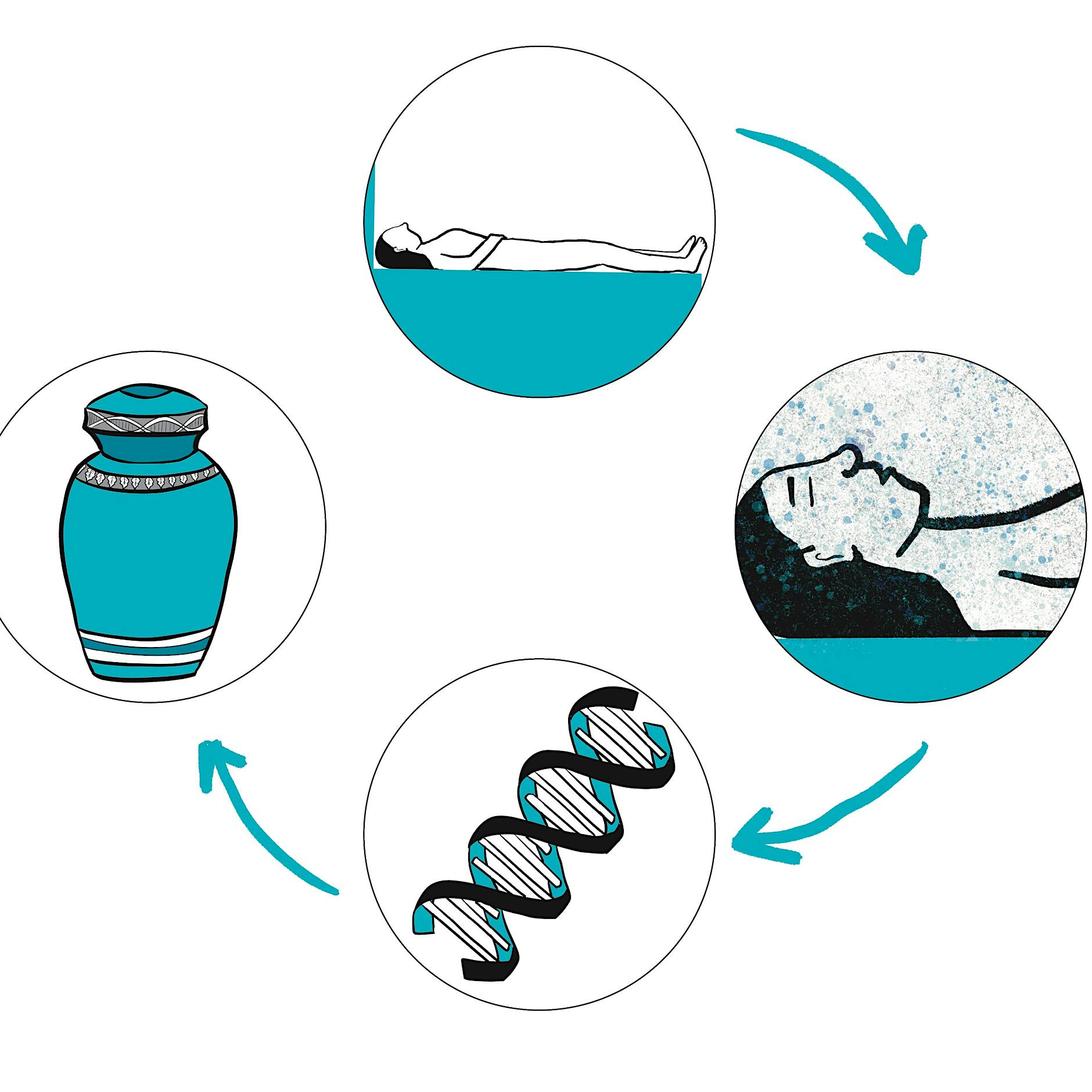 Zurück zum Ursprung: Eine Lavation ist die nachhaltigste Form der Bestattung