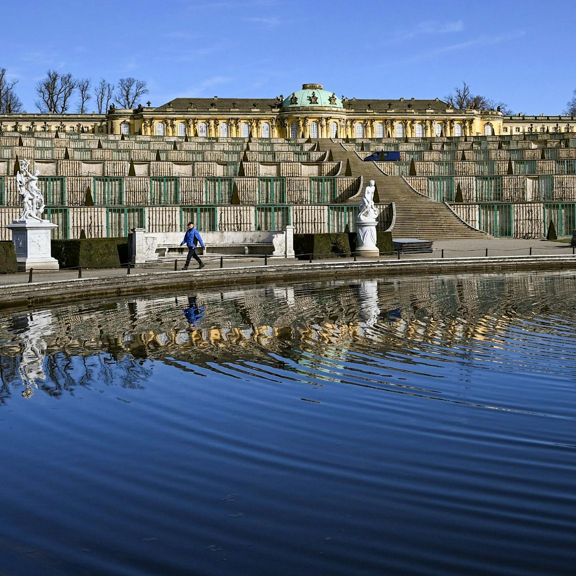 Baumsterben in Sanssouci: Jetzt gibt es dort Führungen zum Klimawandel