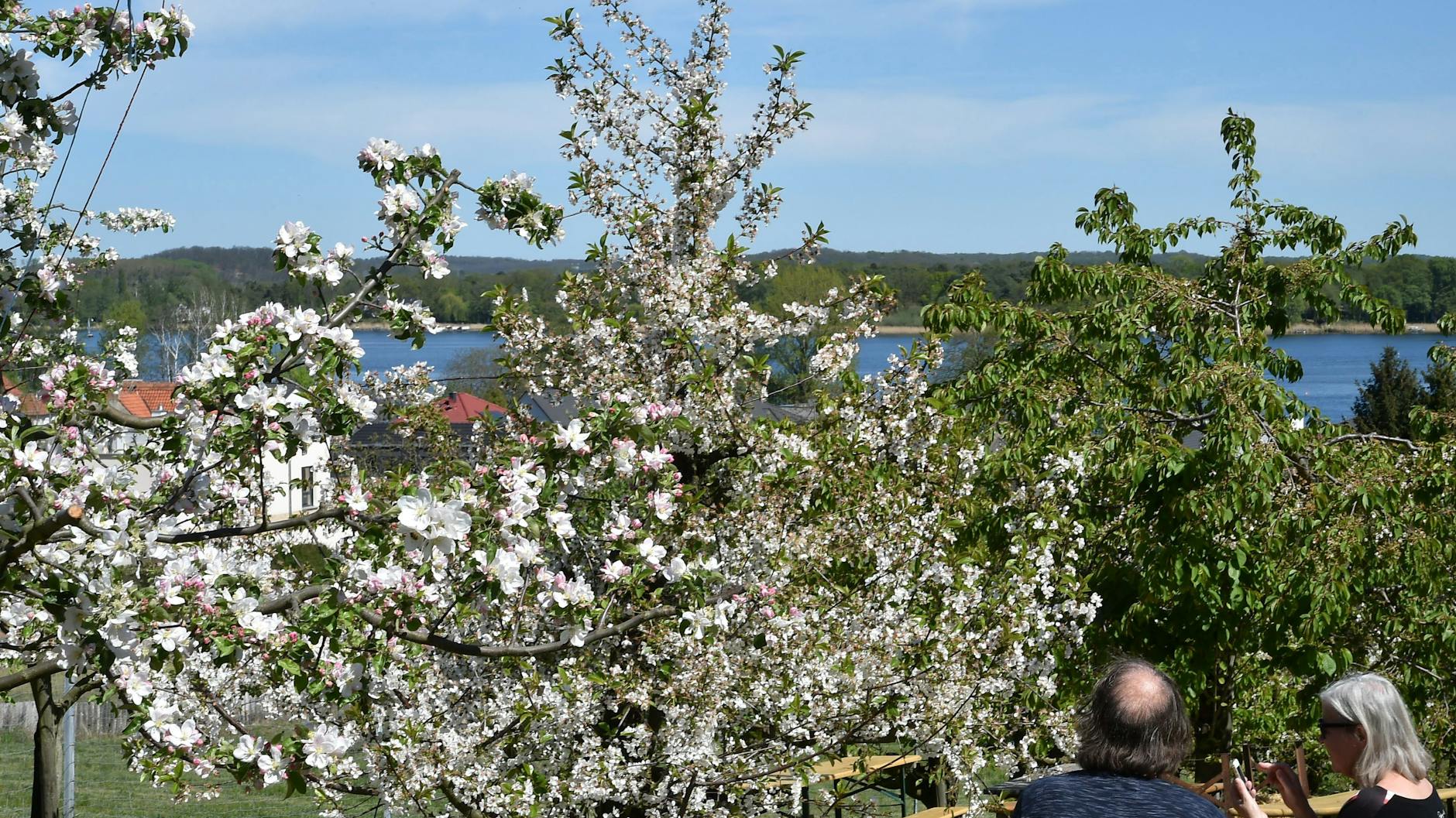 Ein Paar sitzt in einem bereits geöffnetem Stadtgarten am Hohen Weg.