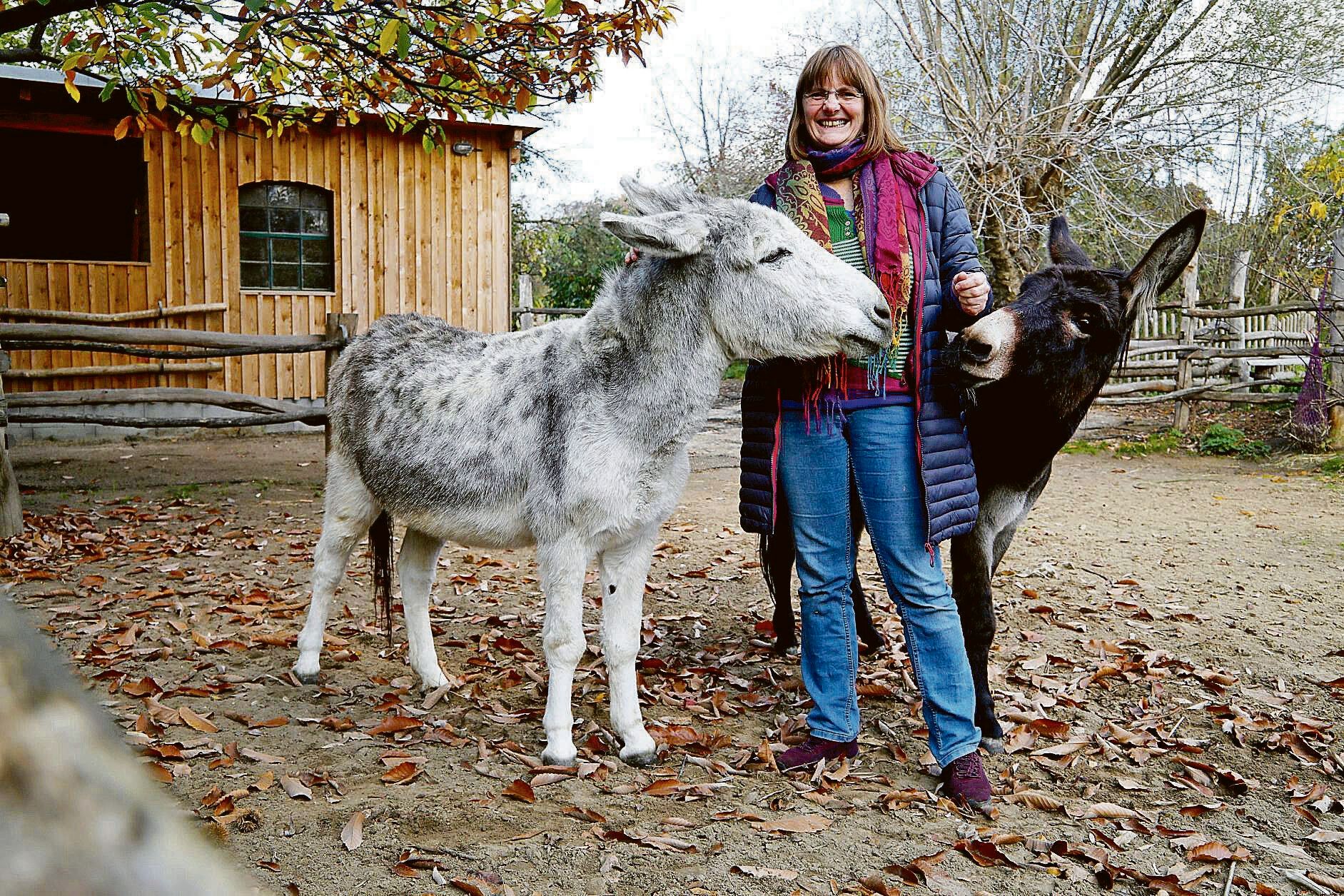 Ziegen, Esel, Hochlandrinder: Hier kann man in Berlin kostenlos Tiere angucken