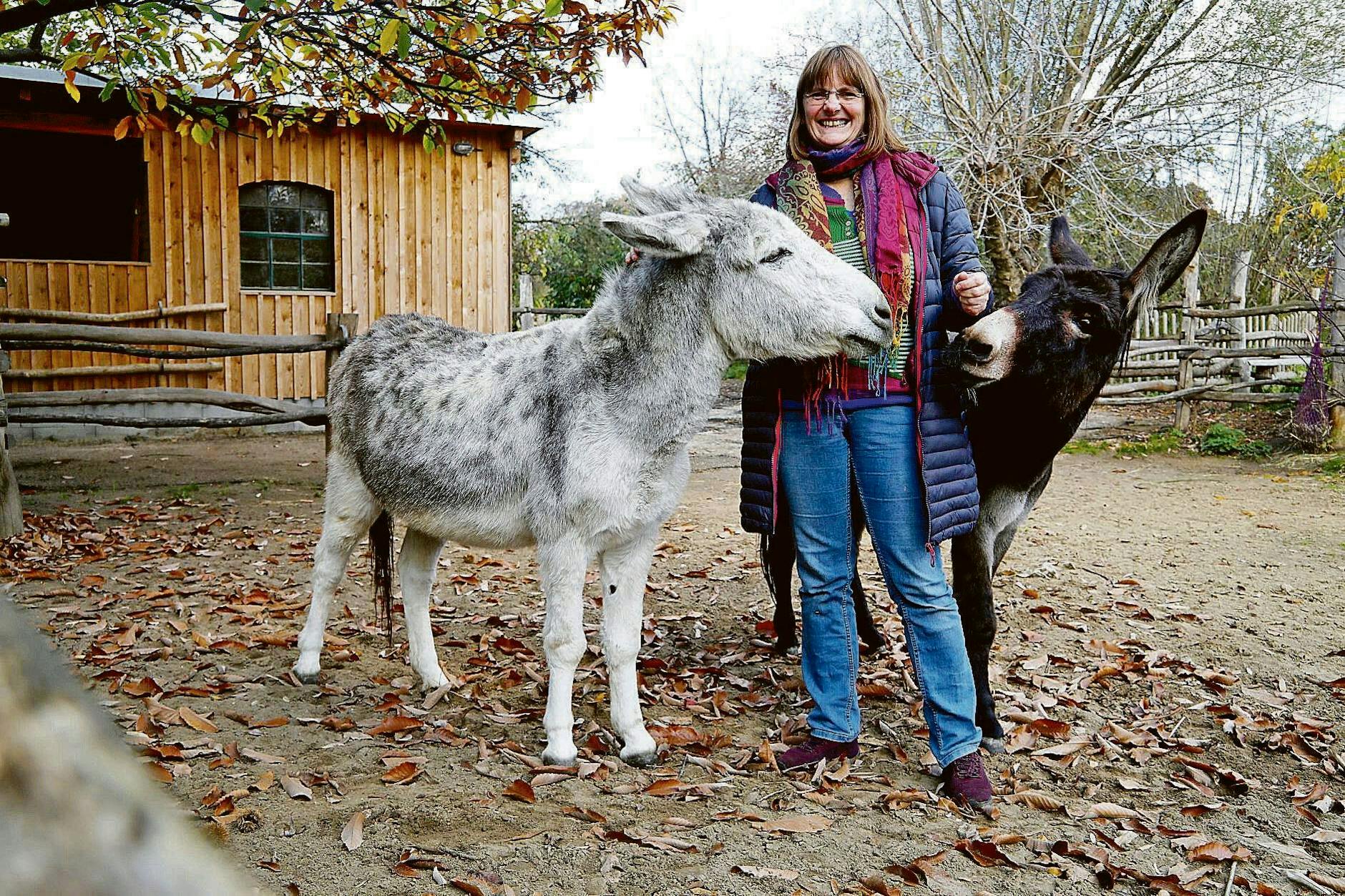 Der Kinderbauernhof Pinke Panke und seine Esel: Annett Rose hat den Bauernhof aufgebaut. 