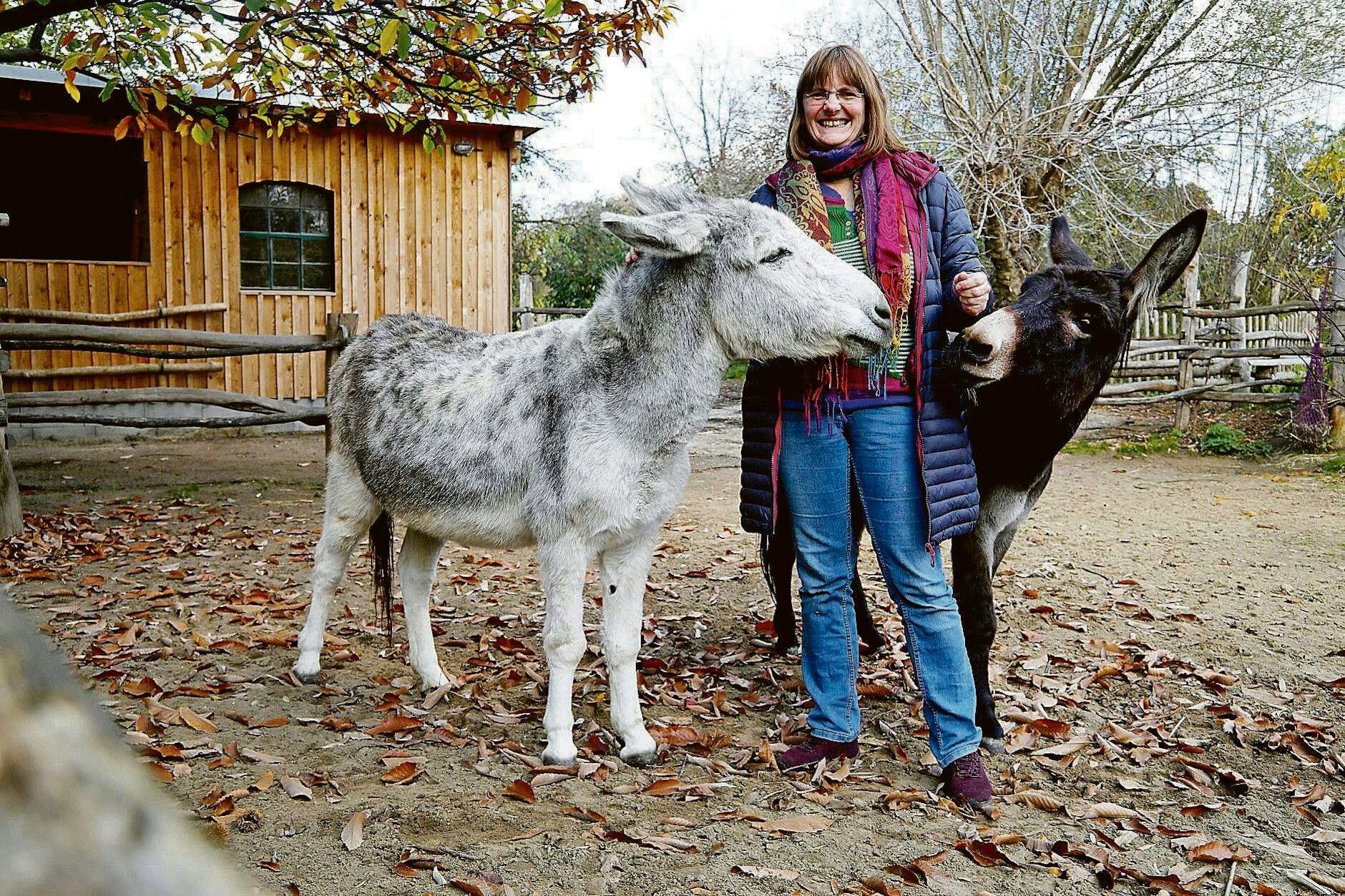 Der Kinderbauernhof Pinke Panke und seine Esel: Annett Rose hat den Bauernhof aufgebaut.&nbsp;