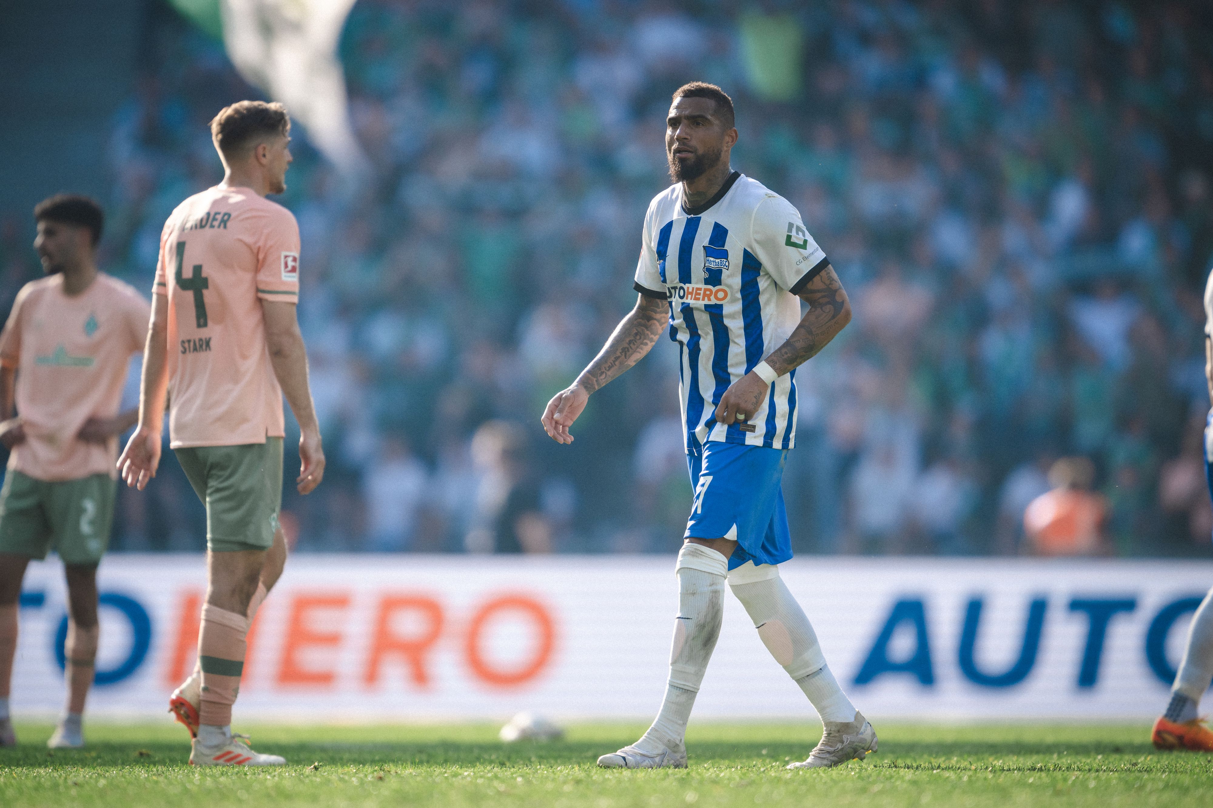 Image - Boatengs Appell an alle Herthaner: Jetzt keine Trauerstimmung aufkommen lassen