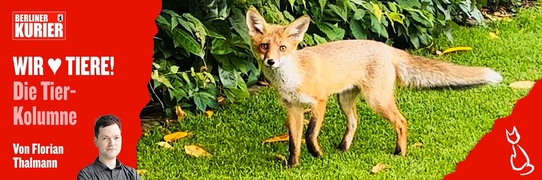 Die Fuchs-Dame Maxi ließ sich gern fotografieren, blieb aber sonst auf Abstand.