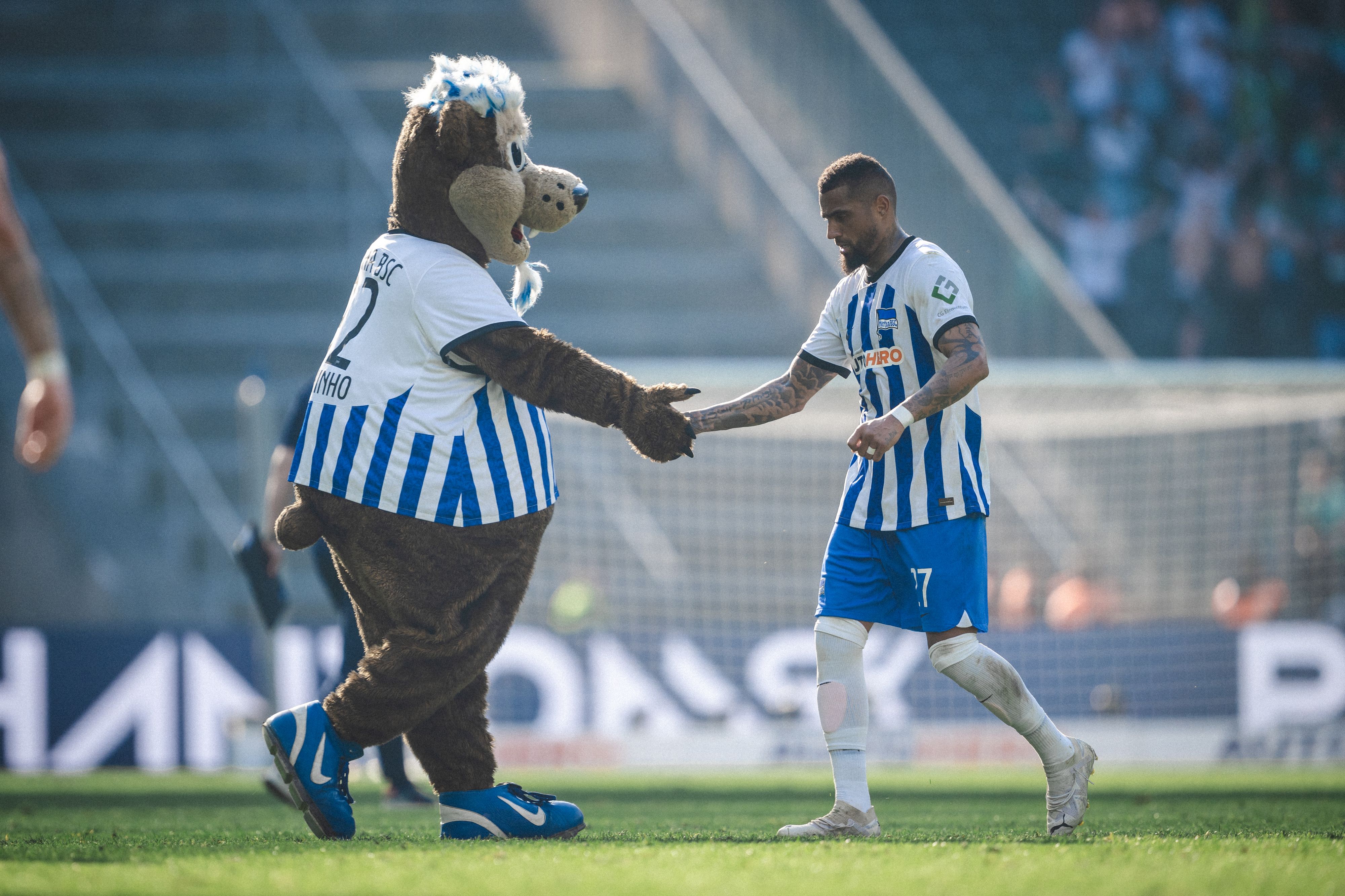 Image - Restprogramm: Hoffnungsfunke oder das Programm, das Hertha BSC den Rest gibt?