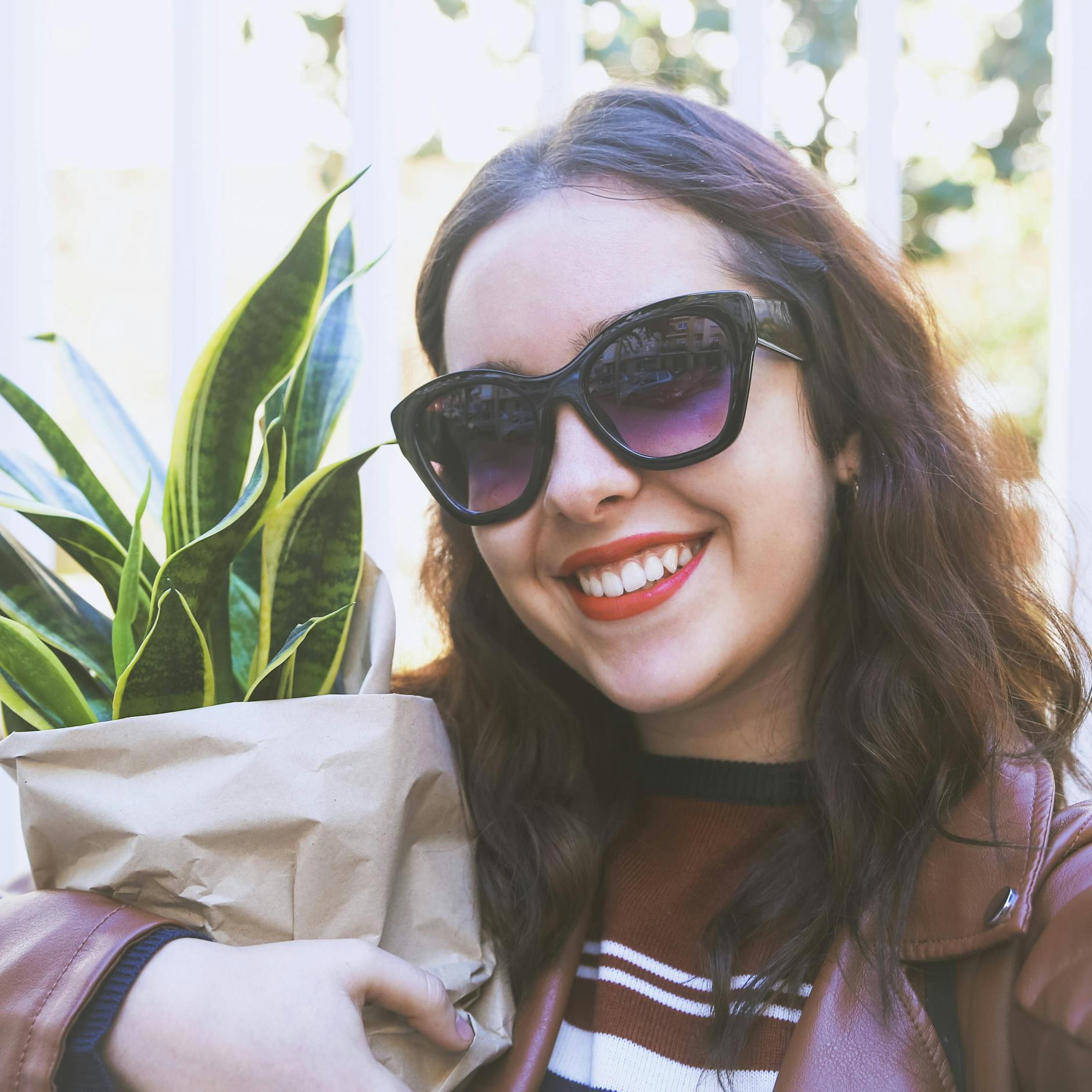 Die perfekten Zimmerpflanzen für Wohnzimmer, Schlafzimmer und Büro