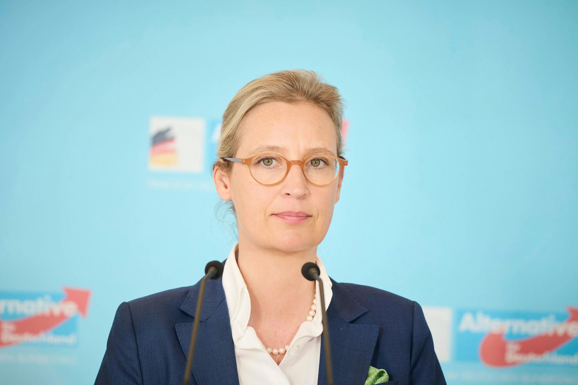 Fest wirft Weidel eine Intrige vor.