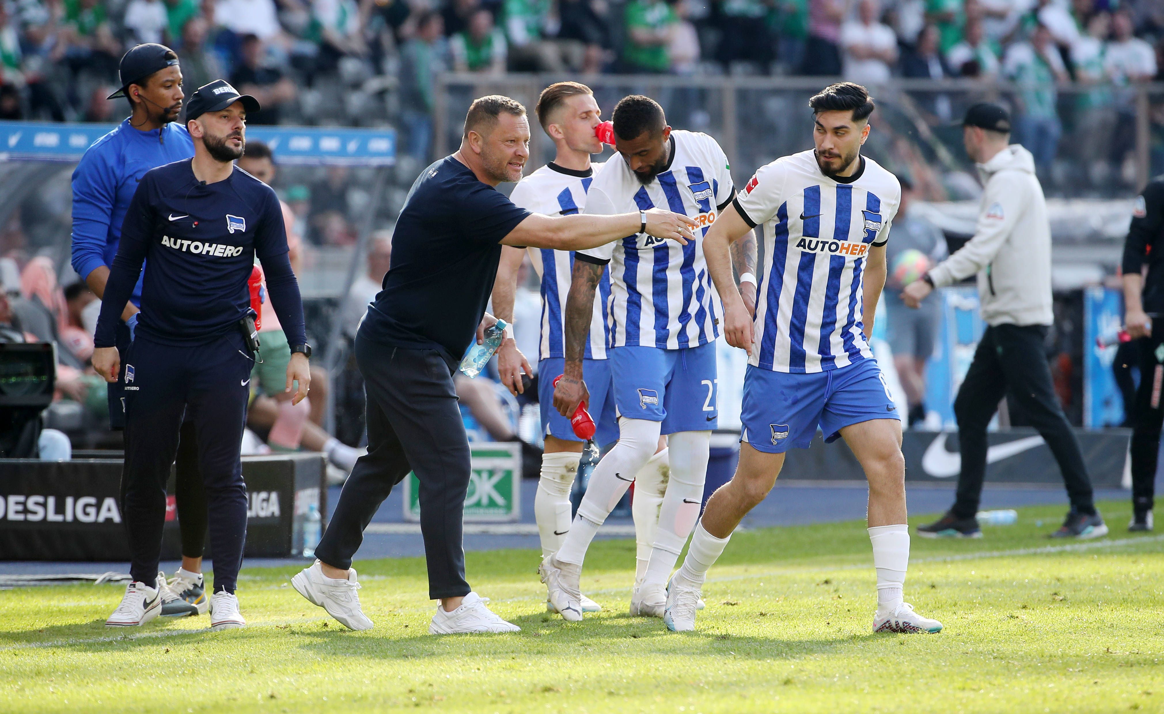 Image - Motto für das Wunder bei Hertha BSC: Elf Pal Dardais müsst ihr sein