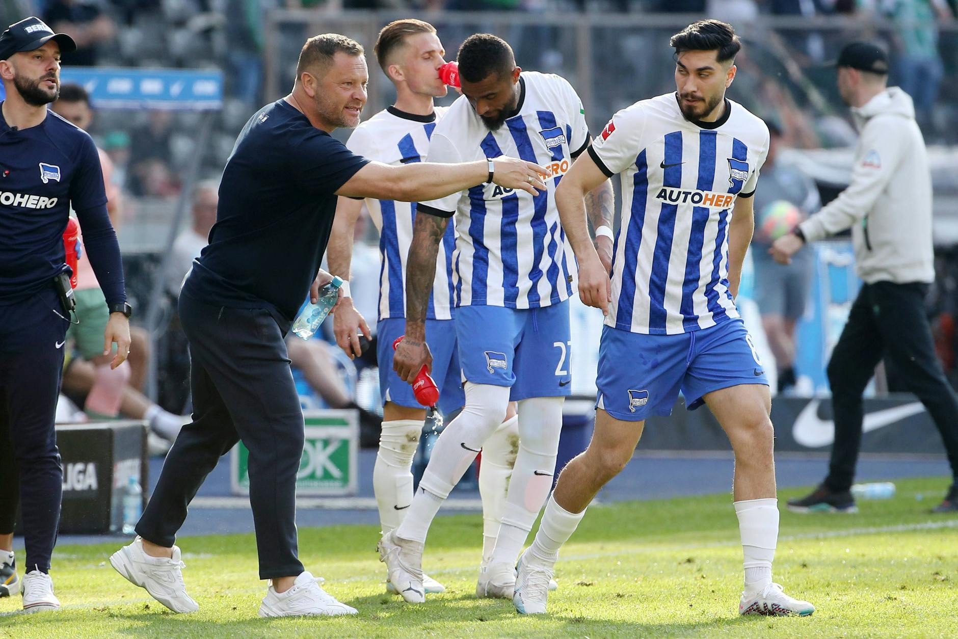 Pal Dardai ist wild entschlossen, schickt gegen Bremen nach der Pause mit Prince Boateng (2.v.r.)und Saut Serdar (r.) zwei Kämpfer auf den Rasen.