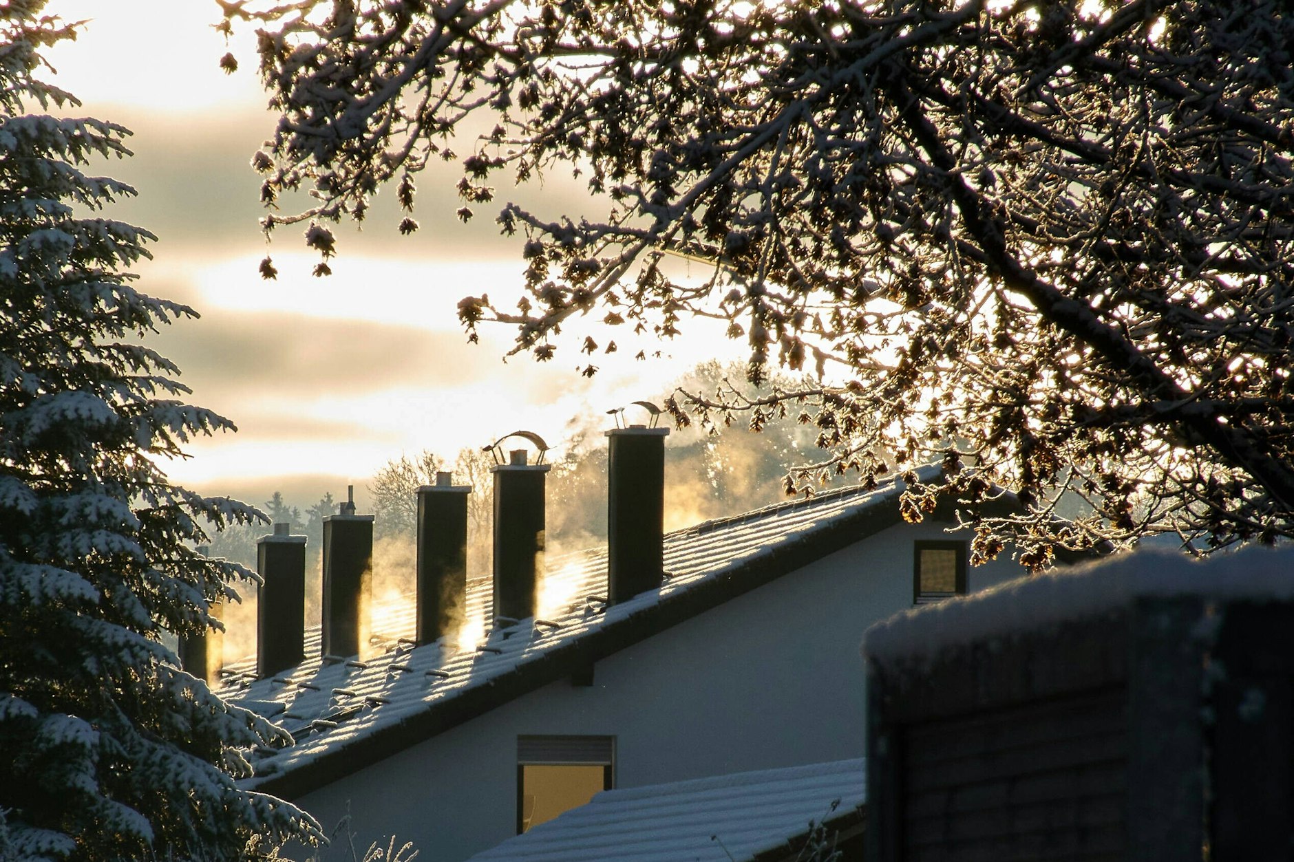 Eigenheimbesitzer,die sich keine neue Heizung leisten können, werden ihr Haus verkaufen müssen, um horrende Strafzahlungen abzuwenden, sagt Wirtschaftsrat-Generalsekretär Wolfgang Steiger.