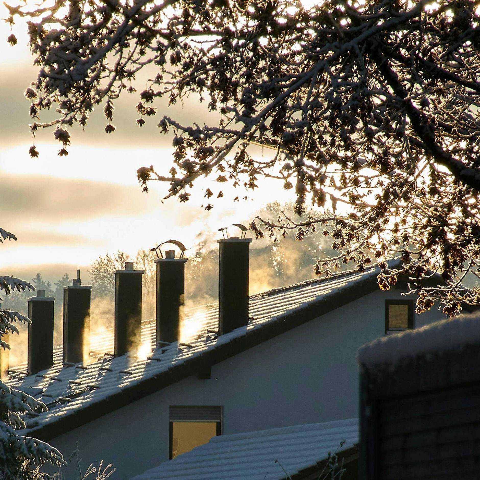 CDU-Wirtschaftsrat: Bundesregierung treibt Menschen mit Heizungsgesetz in Altersarmut