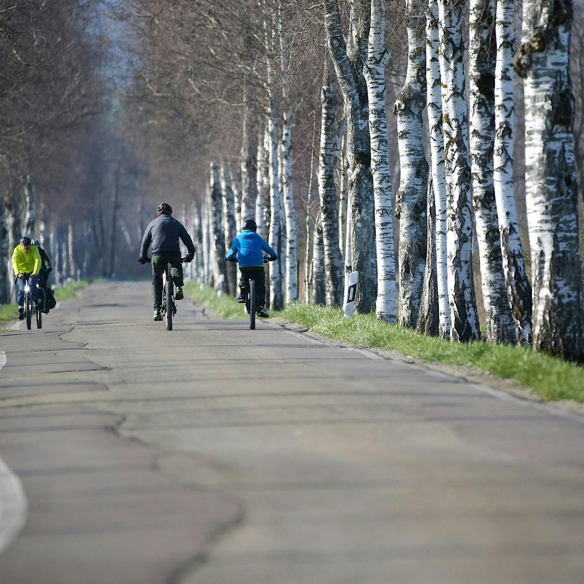 Deutschland noch kein Fahrradland - ADFC präsentiert Umfrage