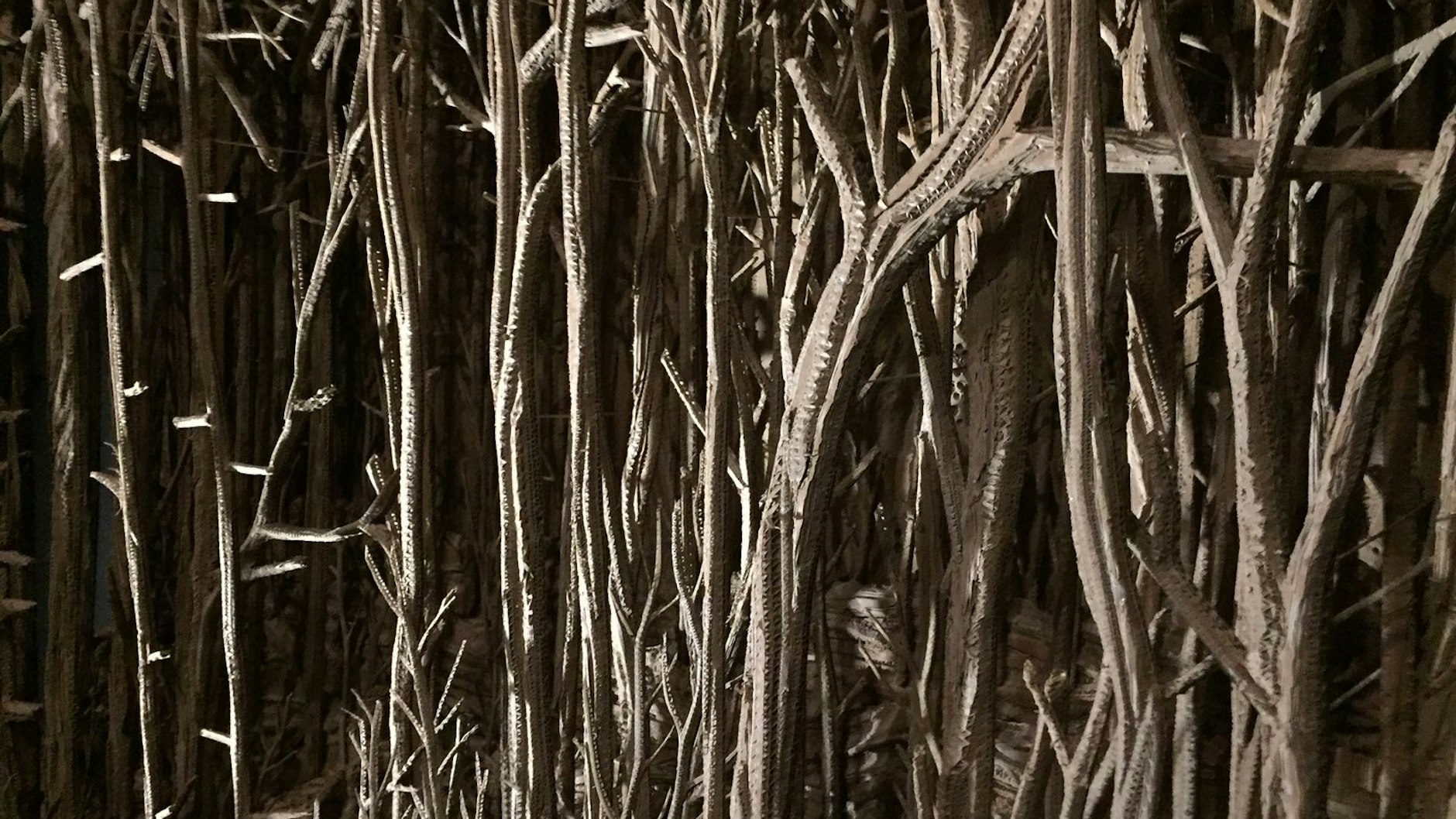 <strong></strong>Eines der in Berlin gezeigten Werke von Eva Jospin: ein Dickicht aus Pappkarton.