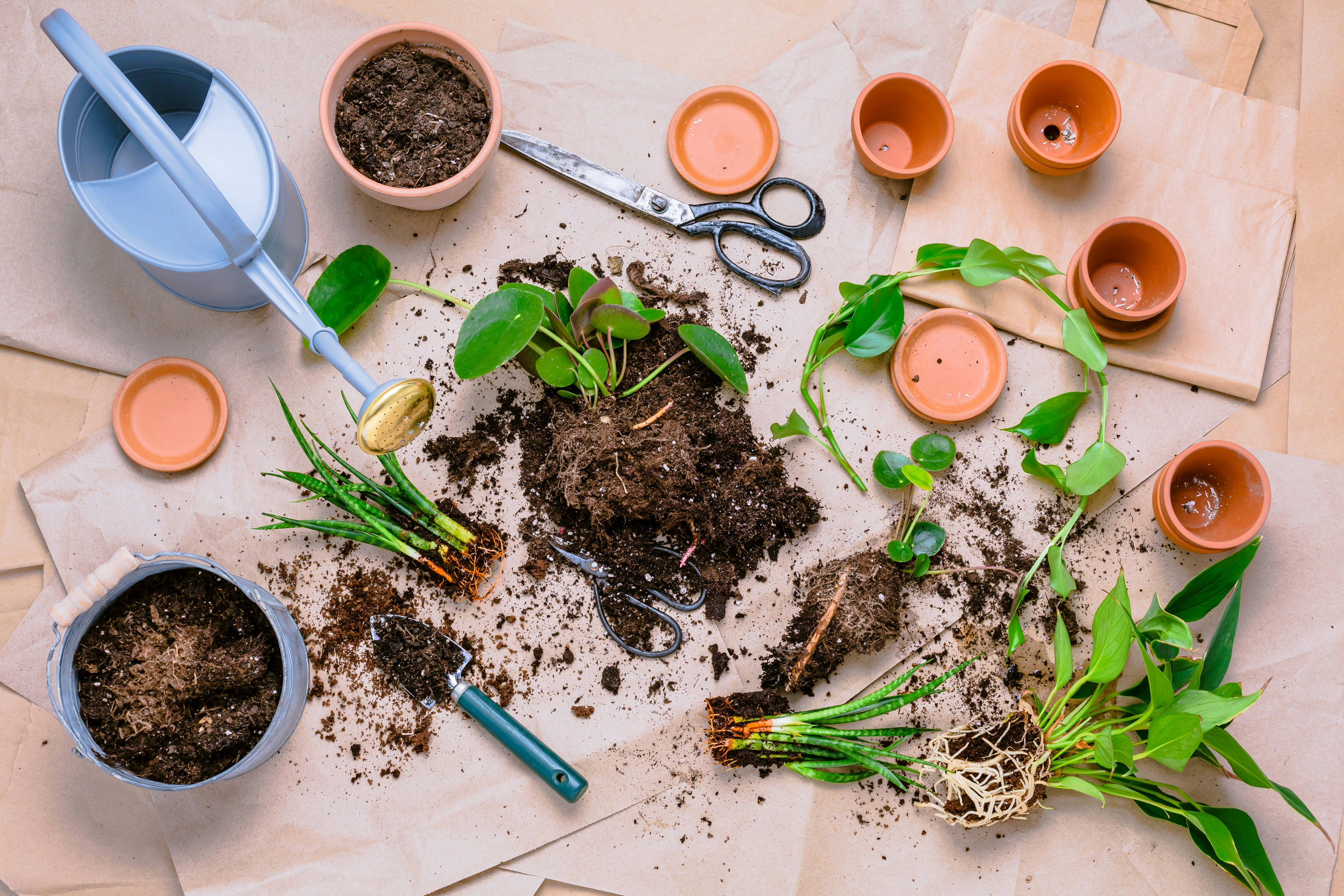 Aus Kübel oder Balkonkasten: Kann man alte Blumenerde noch verwenden? Aus Kübel oder Balkonkasten: Kann man alte Blumenerde noch verwenden?