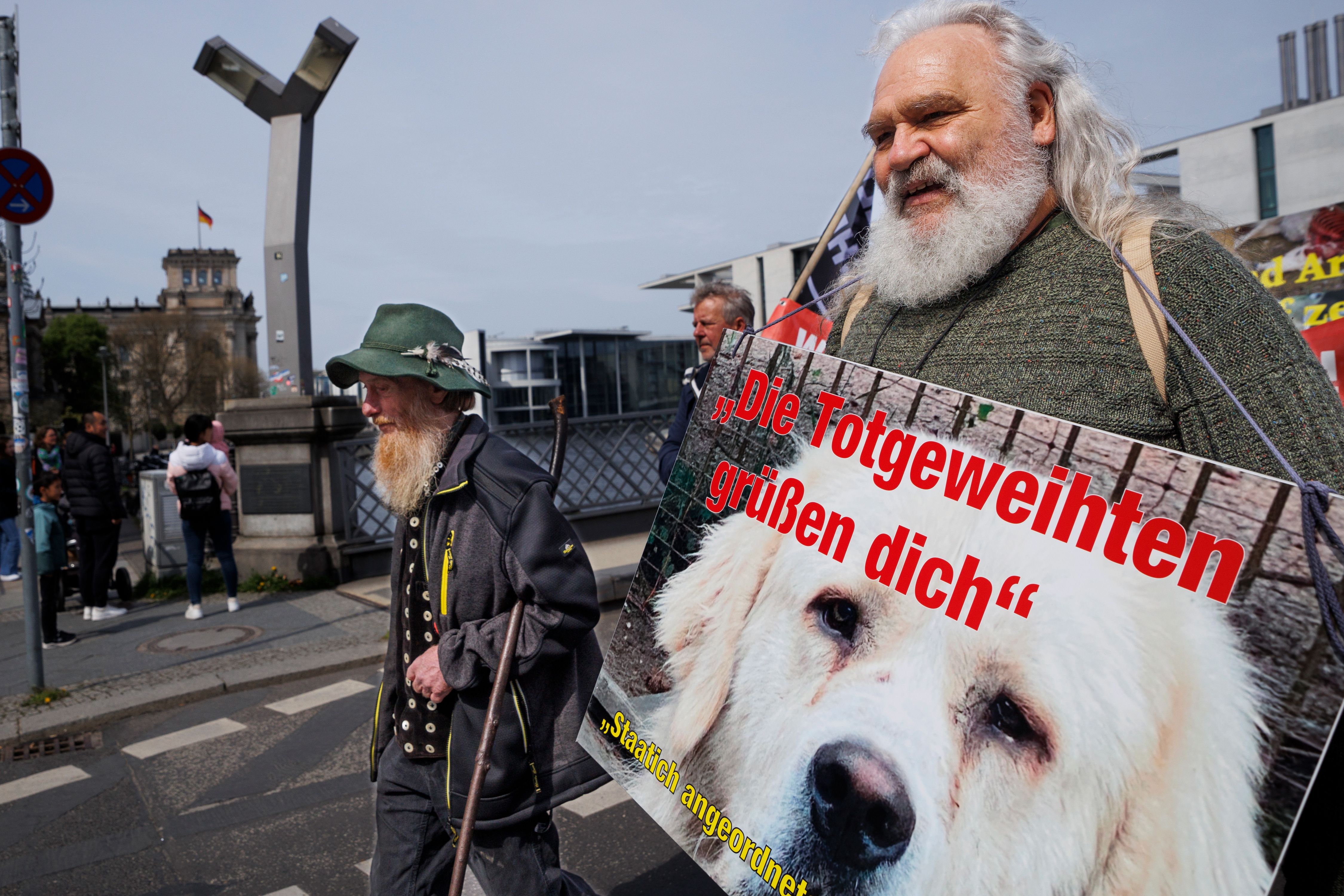 Image - Bauern-Demo in Berlin: Bauernverband fordert Abschuss von „Problemwölfen“