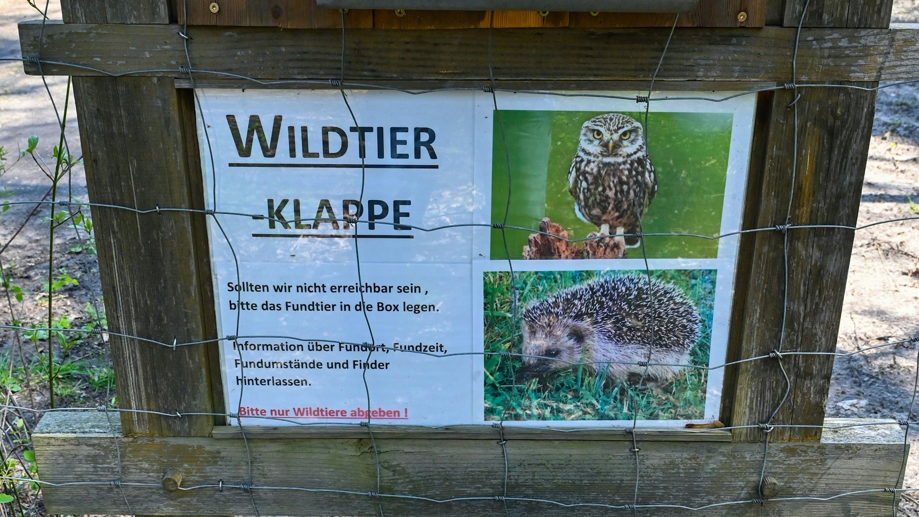 Reddern: Eine Wildtier-Klappe am Grundstück der Wildtierstation Reddern.