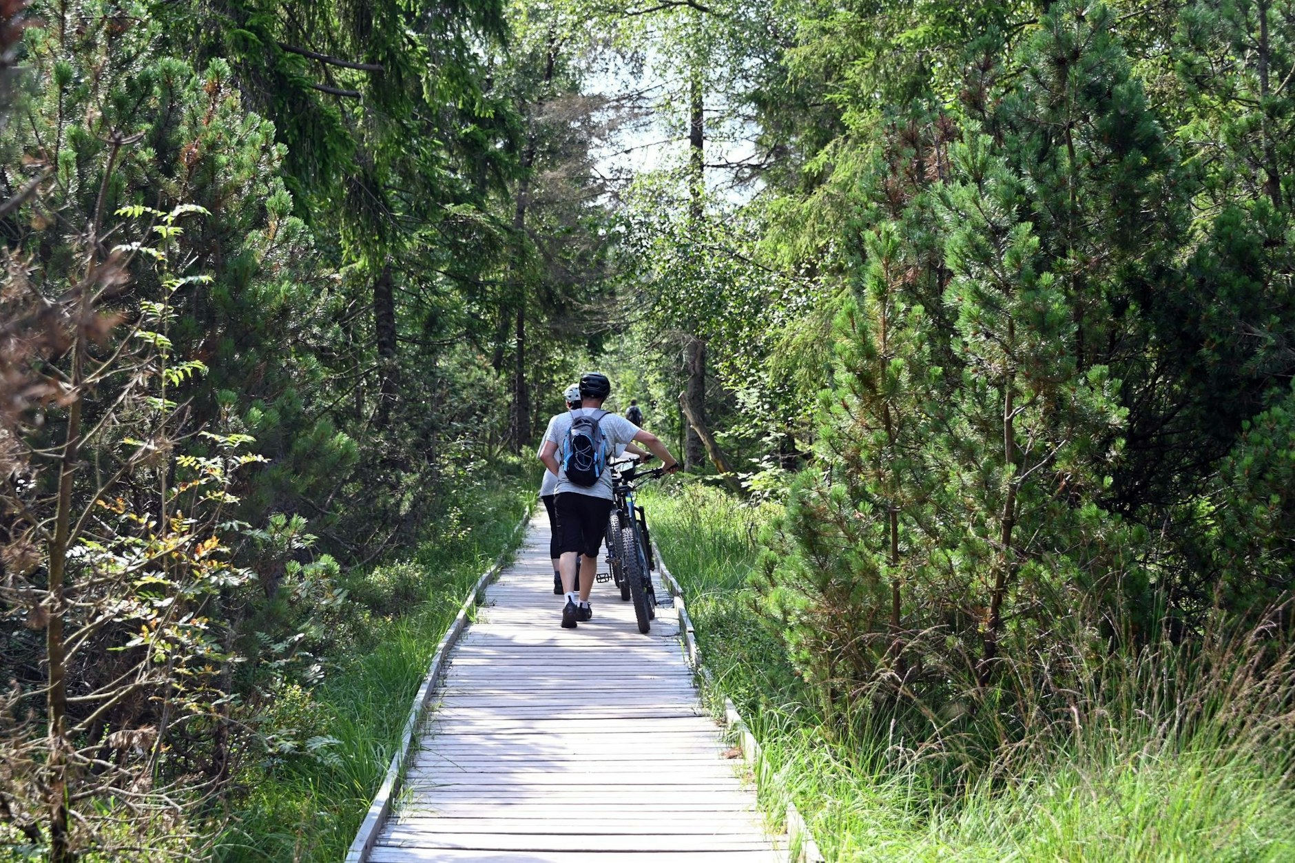 Schön draußen: Fahrradfahrer gehen auf einem Holzsteg durch das Naturschutzgebiet Kaltenbronn mit seinem Moor.