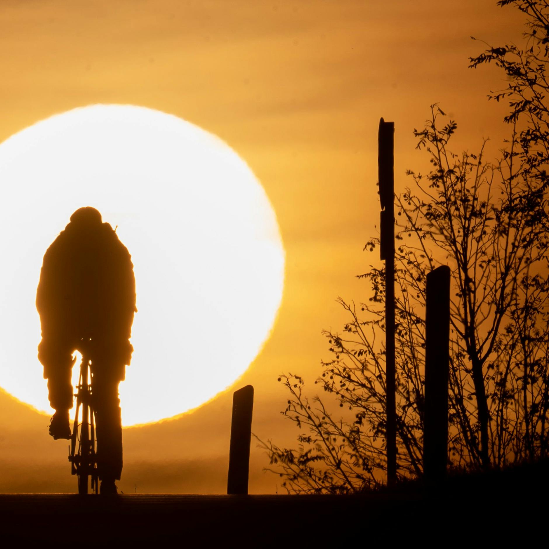 Image - Klimakrise: Zehn Signale, die Hoffnung machen