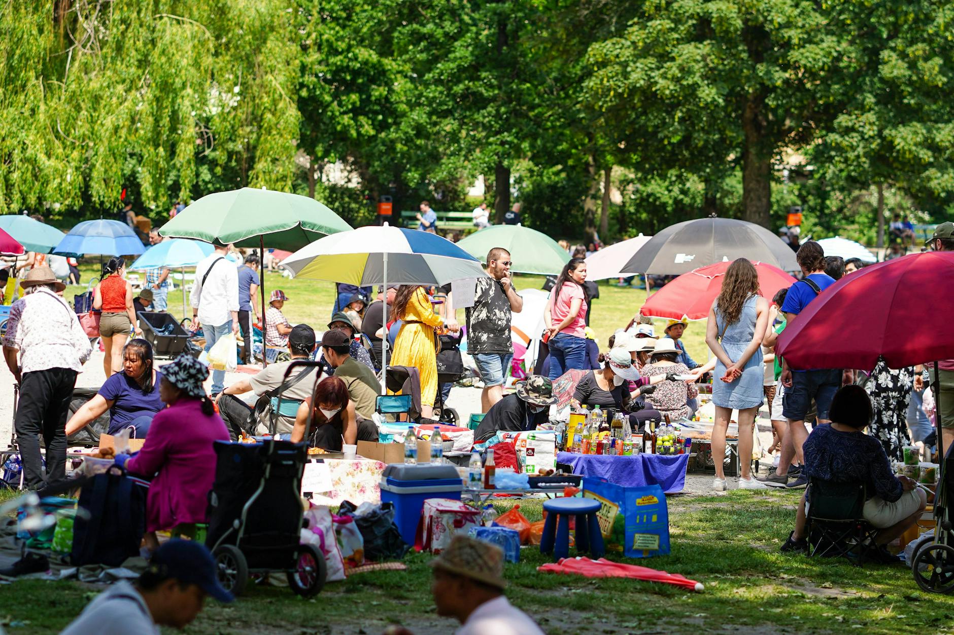 Der Preußenpark verwandelt sich jeden Sommer in eine Fressmeile mit thailändischen Spezialitäten.