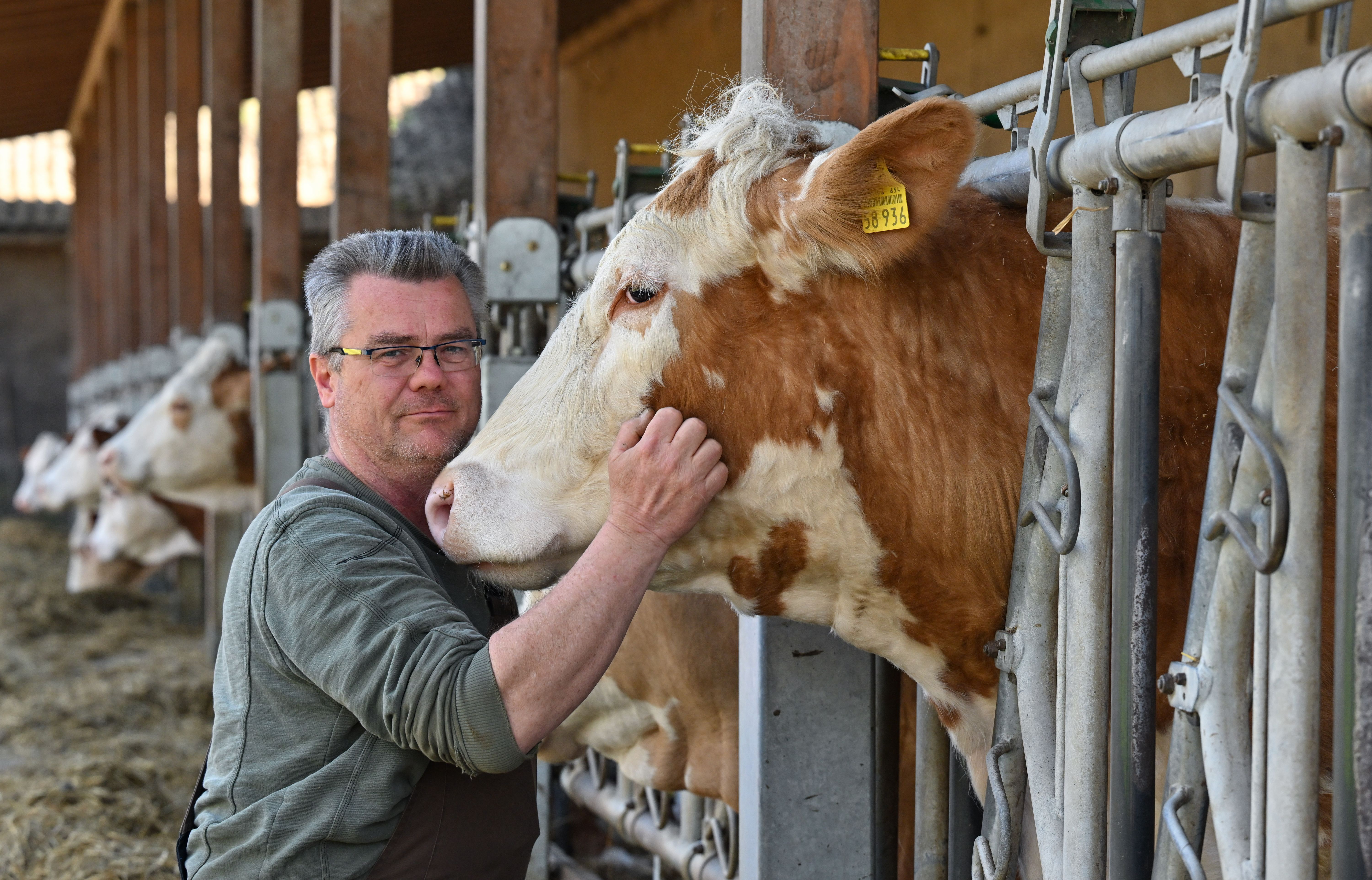 Rinder kraulen, Fische fangen: Ein Mai-Ausflug ins Naturgut Köllnitz