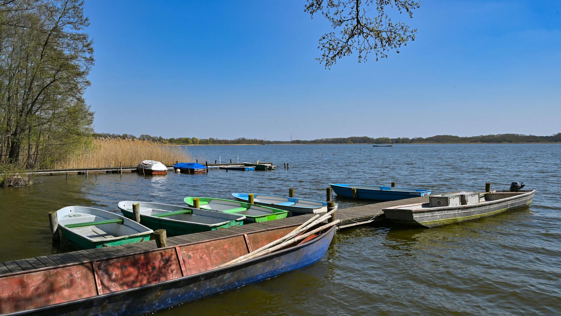 Ein Idylle: der Blick vom Steg auf den Großen Schauener See