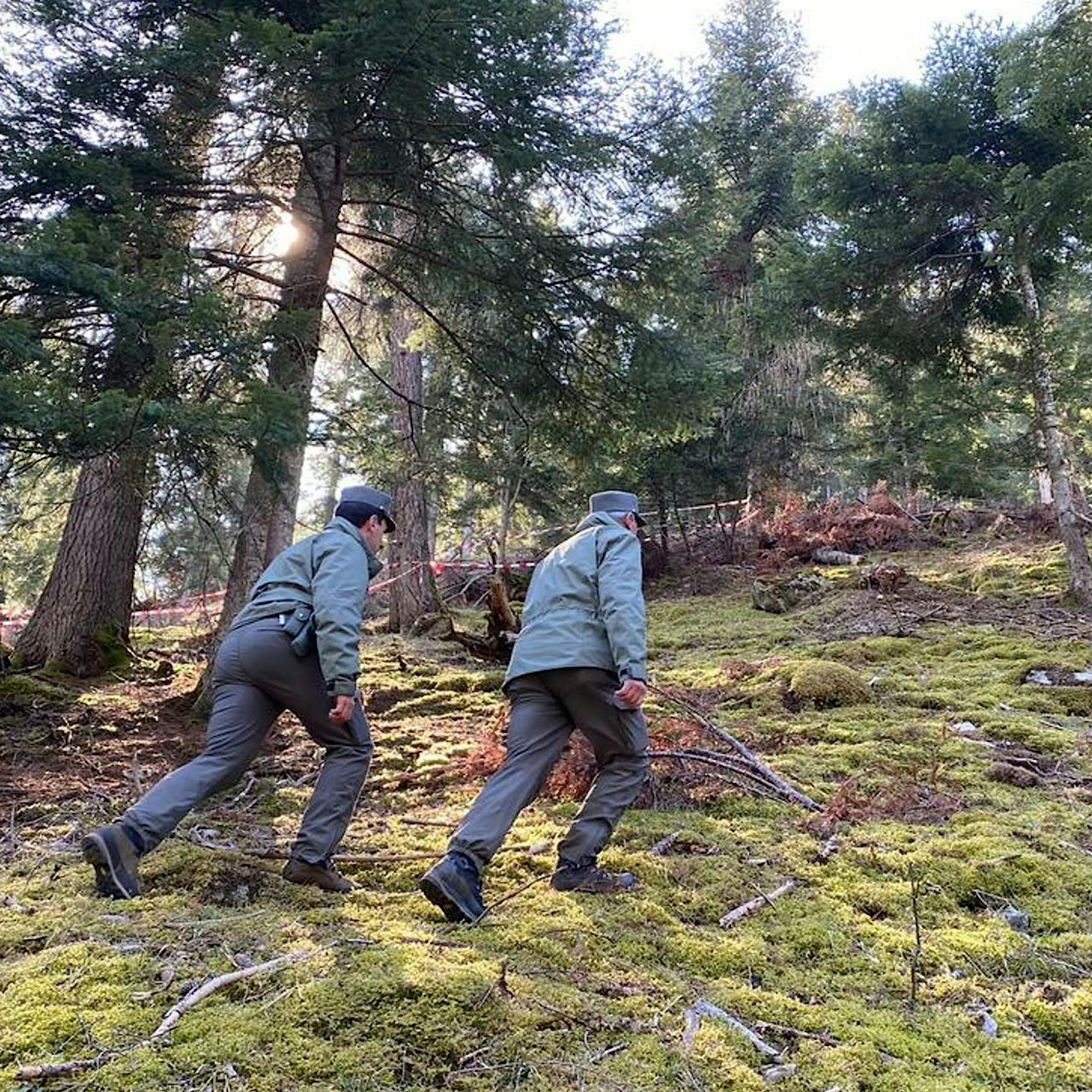 Italien: Toter Problem-Bär gibt der Polizei Rätsel auf