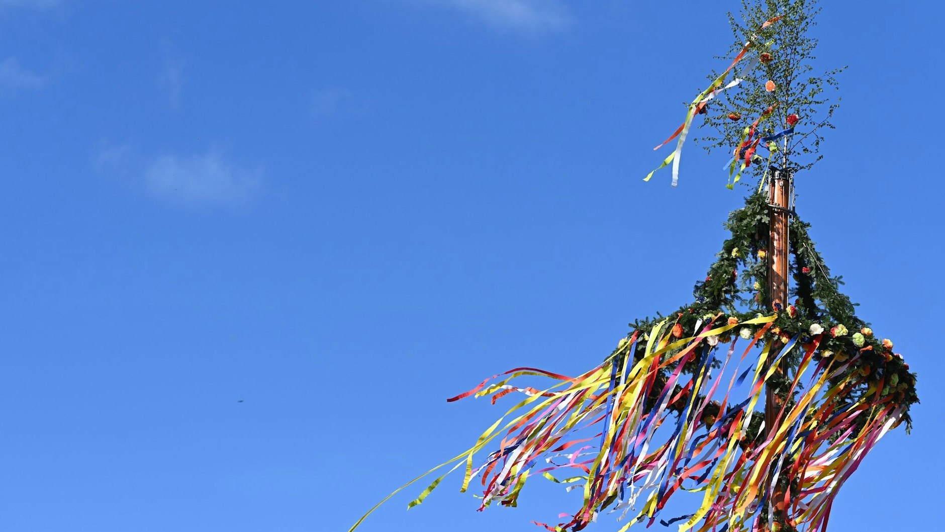 Ein Maibaum ist im unterfränkischen Obernbreit auf einen Mann gestürzt.